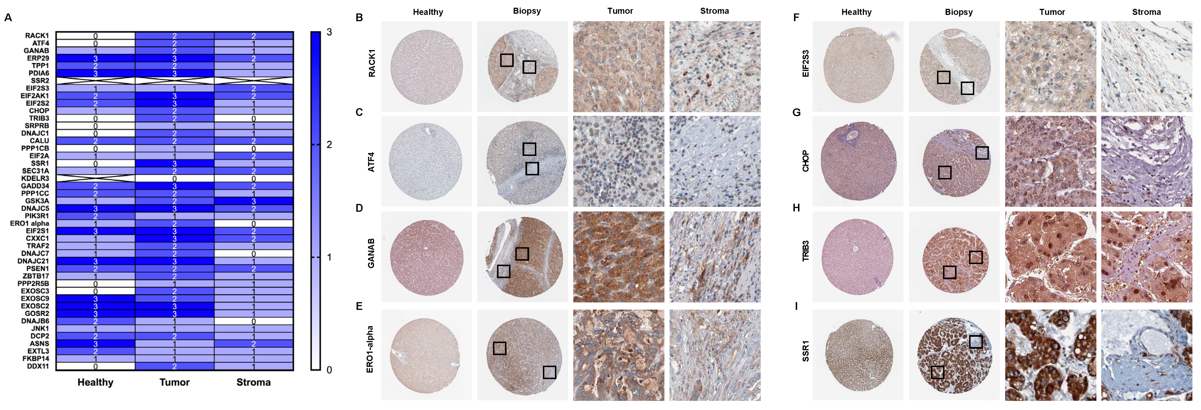 Biology 10 00640 g009 550