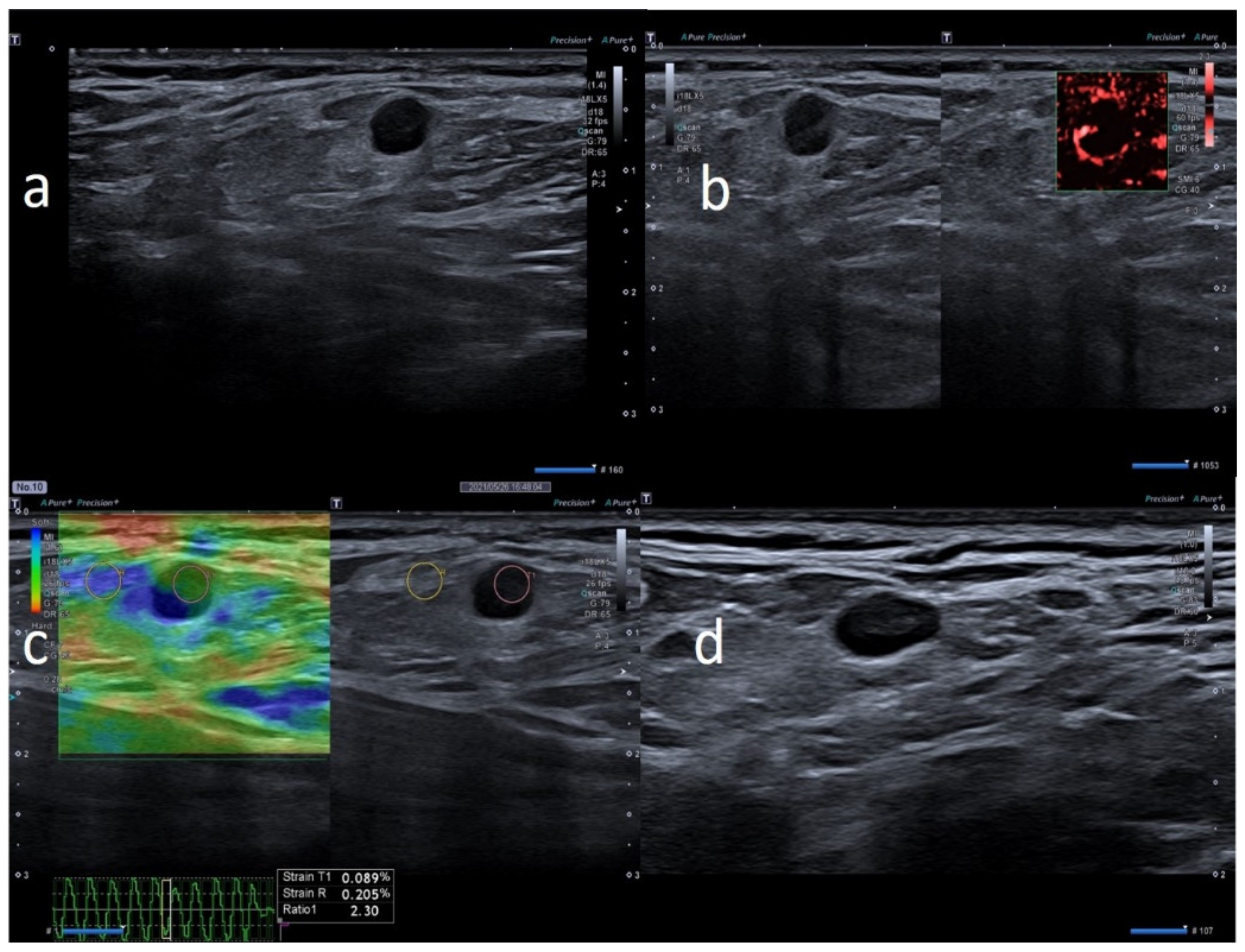 Biology 10 00652 g003