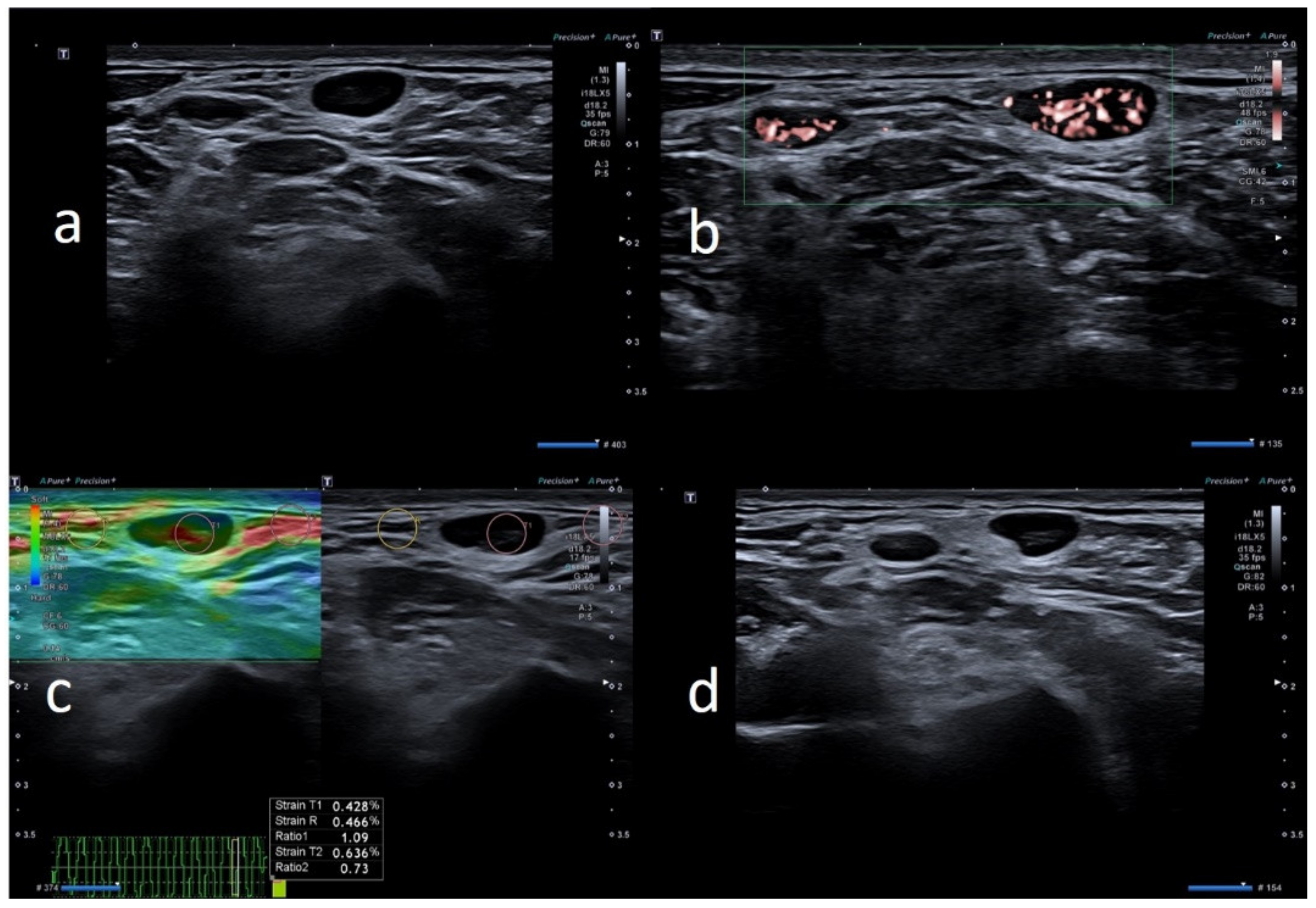Biology 10 00652 g007