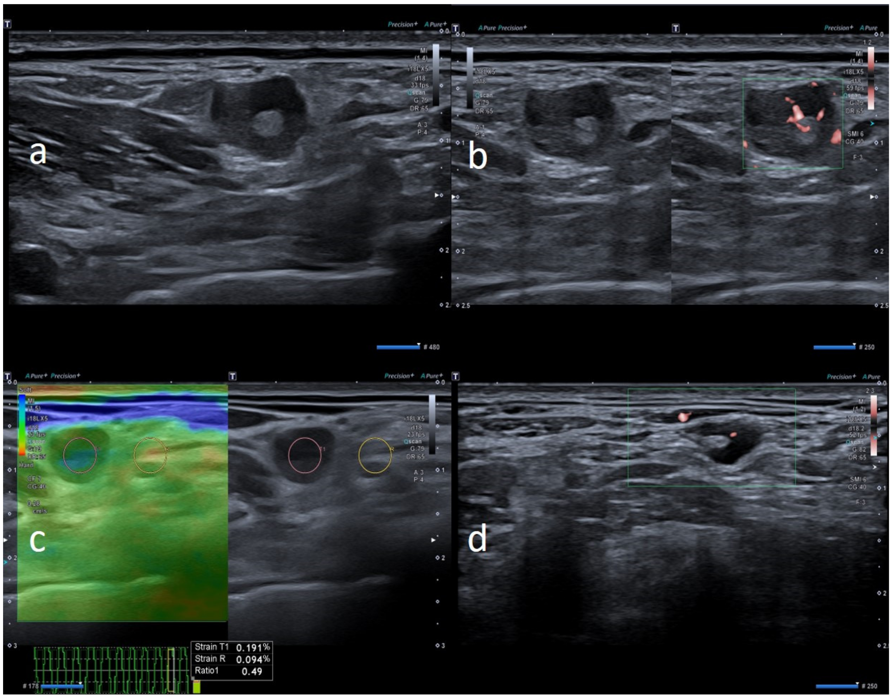Biology 10 00652 g008