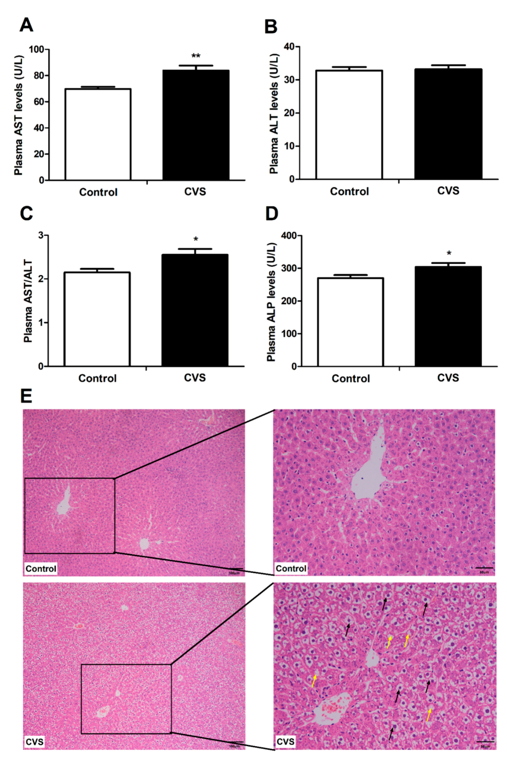 Biology 10 00653 g002