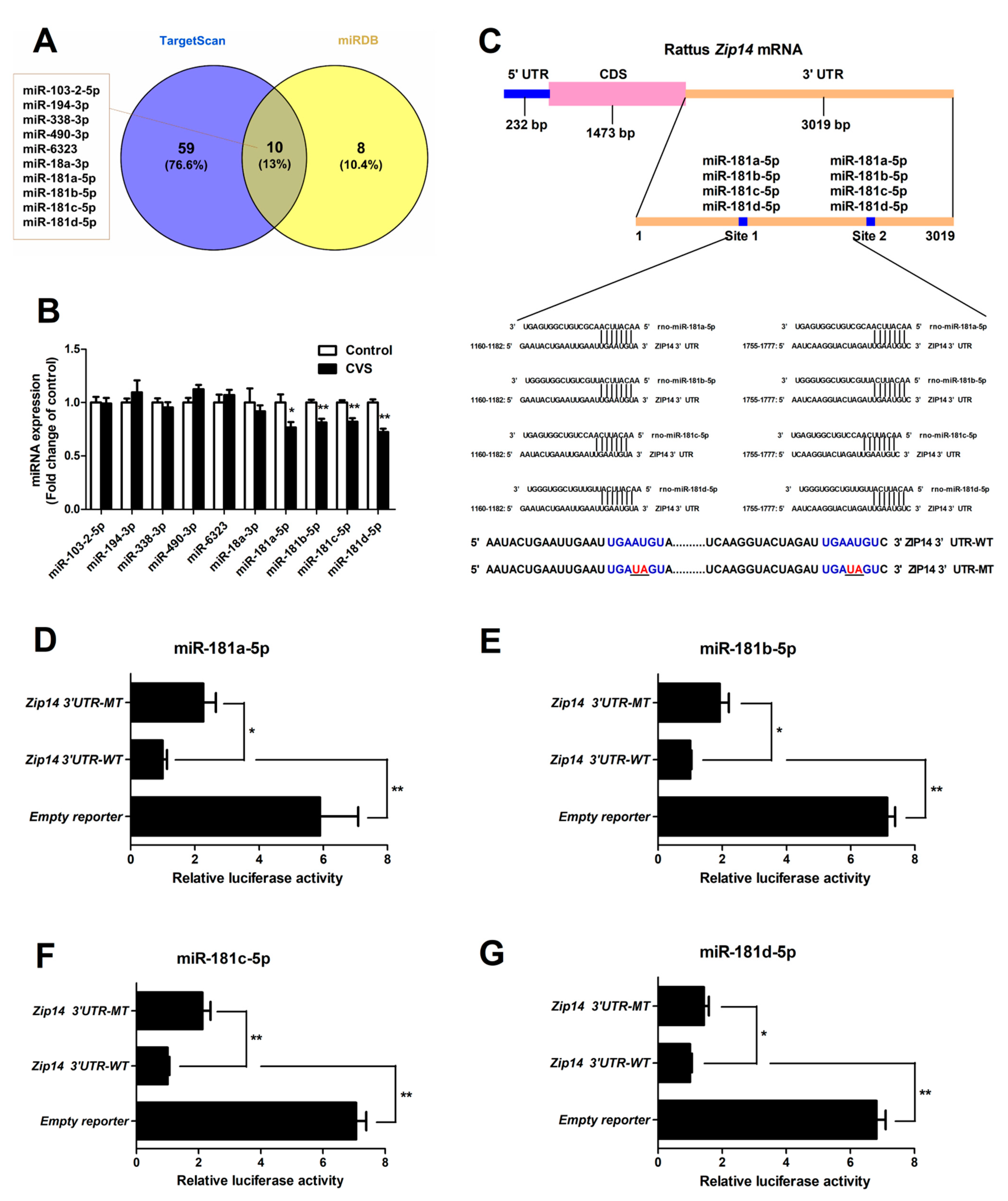 Biology 10 00653 g005