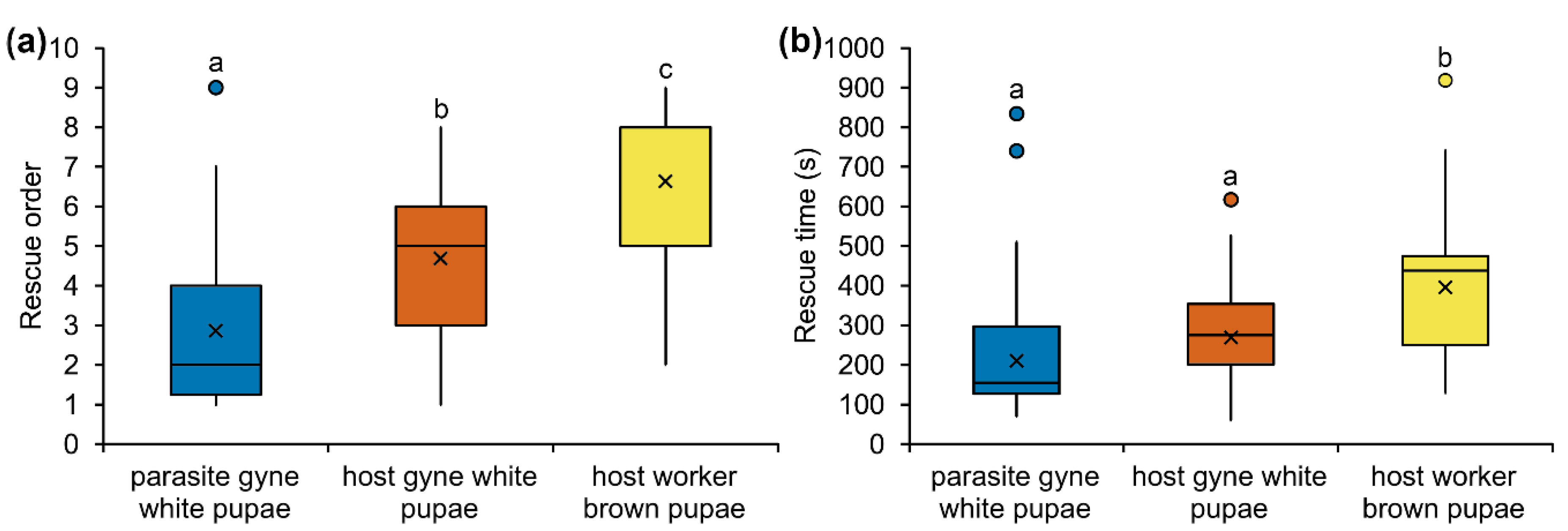 Biology 10 00654 g001