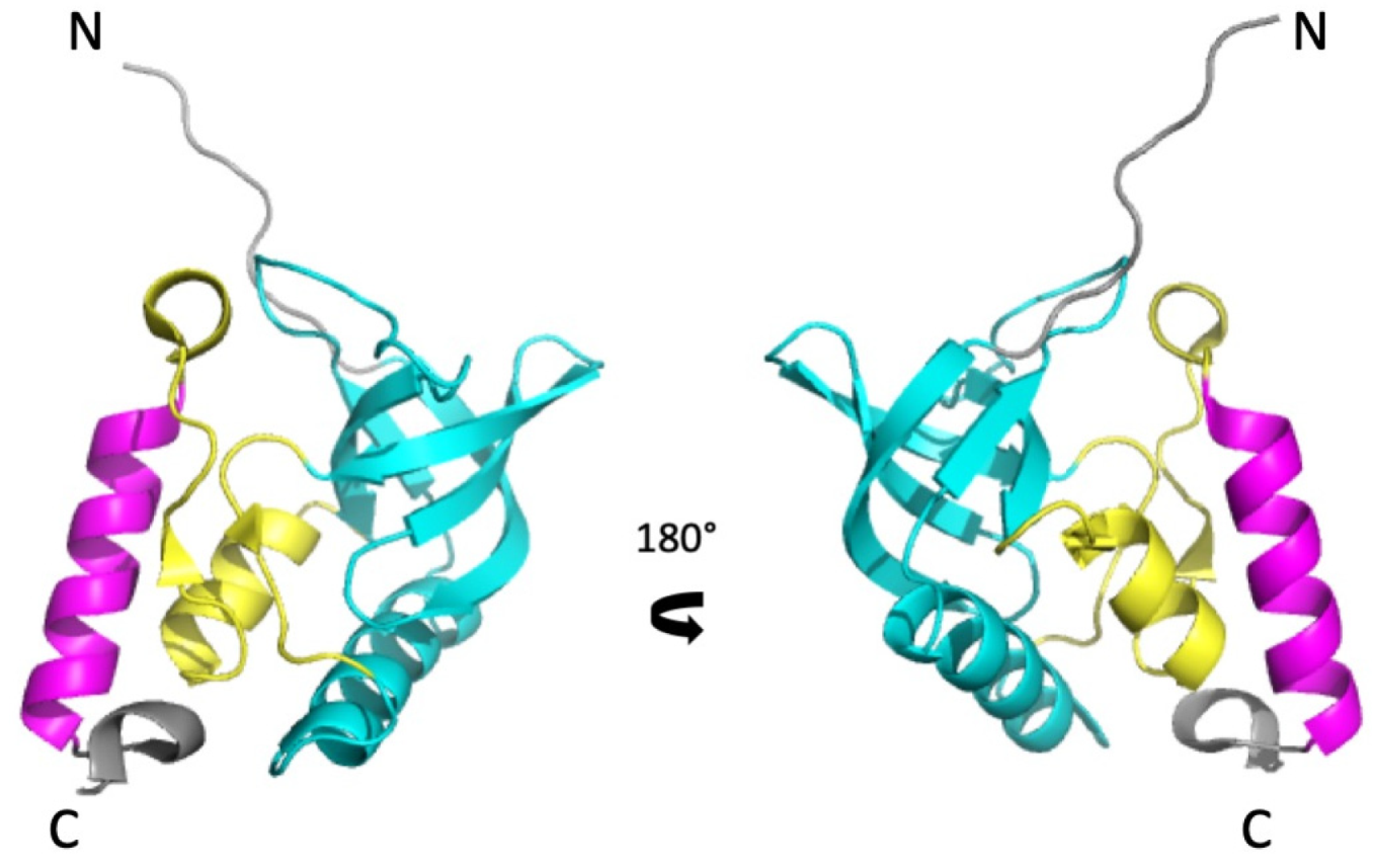 Biology 10 00656 g001 Biology 10 00656 g001