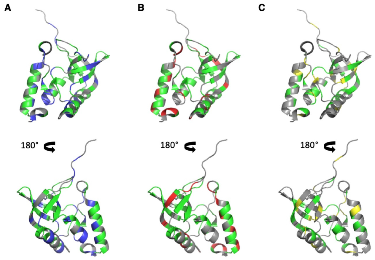 Biology 10 00656 g002 Biology 10 00656 g002