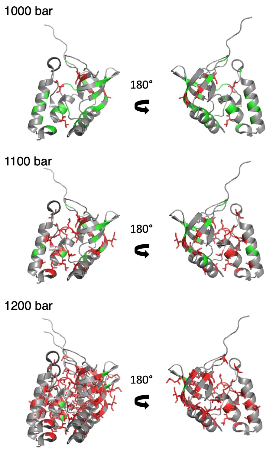 Biology 10 00656 g006 Biology 10 00656 g006
