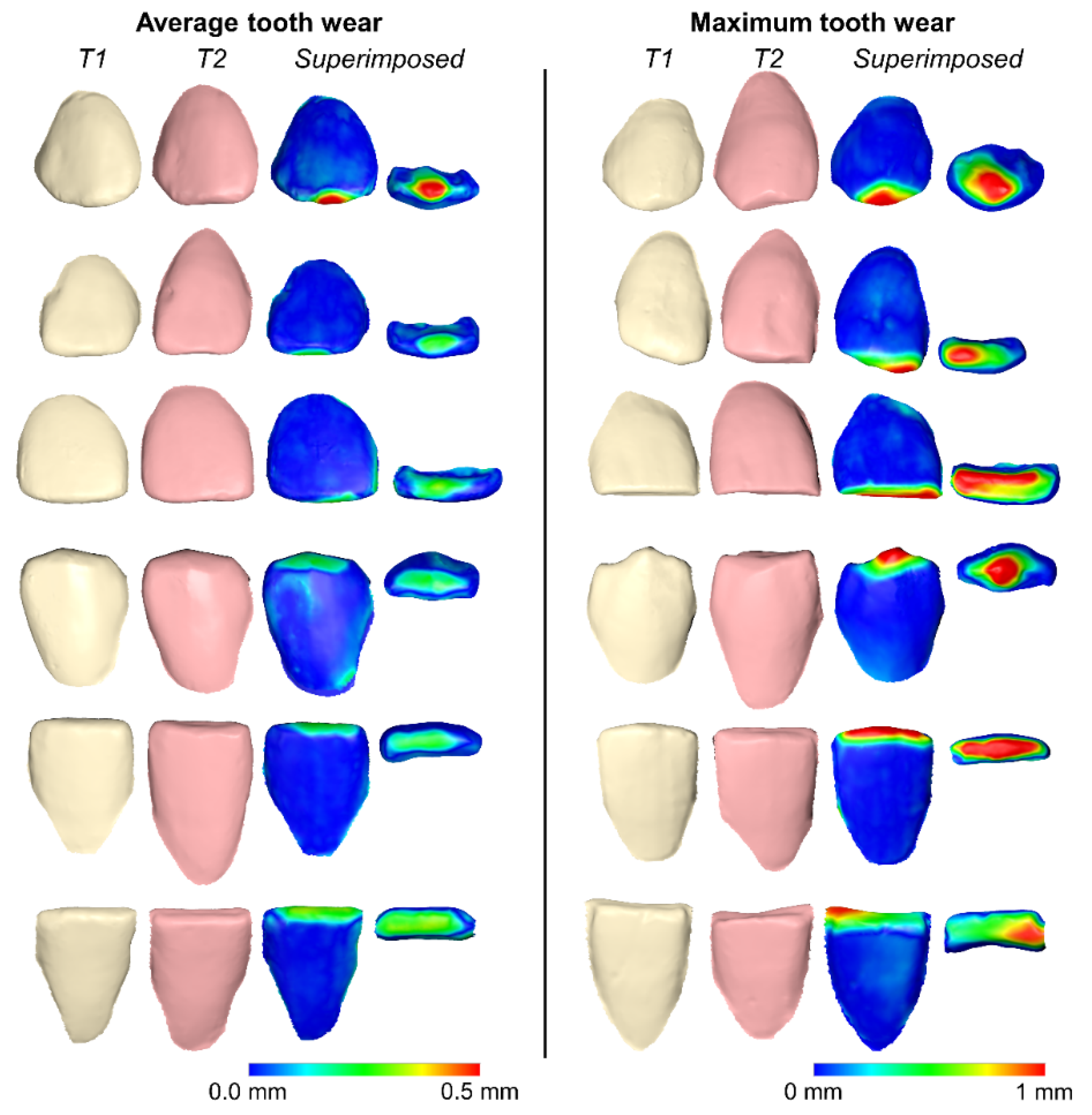 Biology 10 00660 g004
