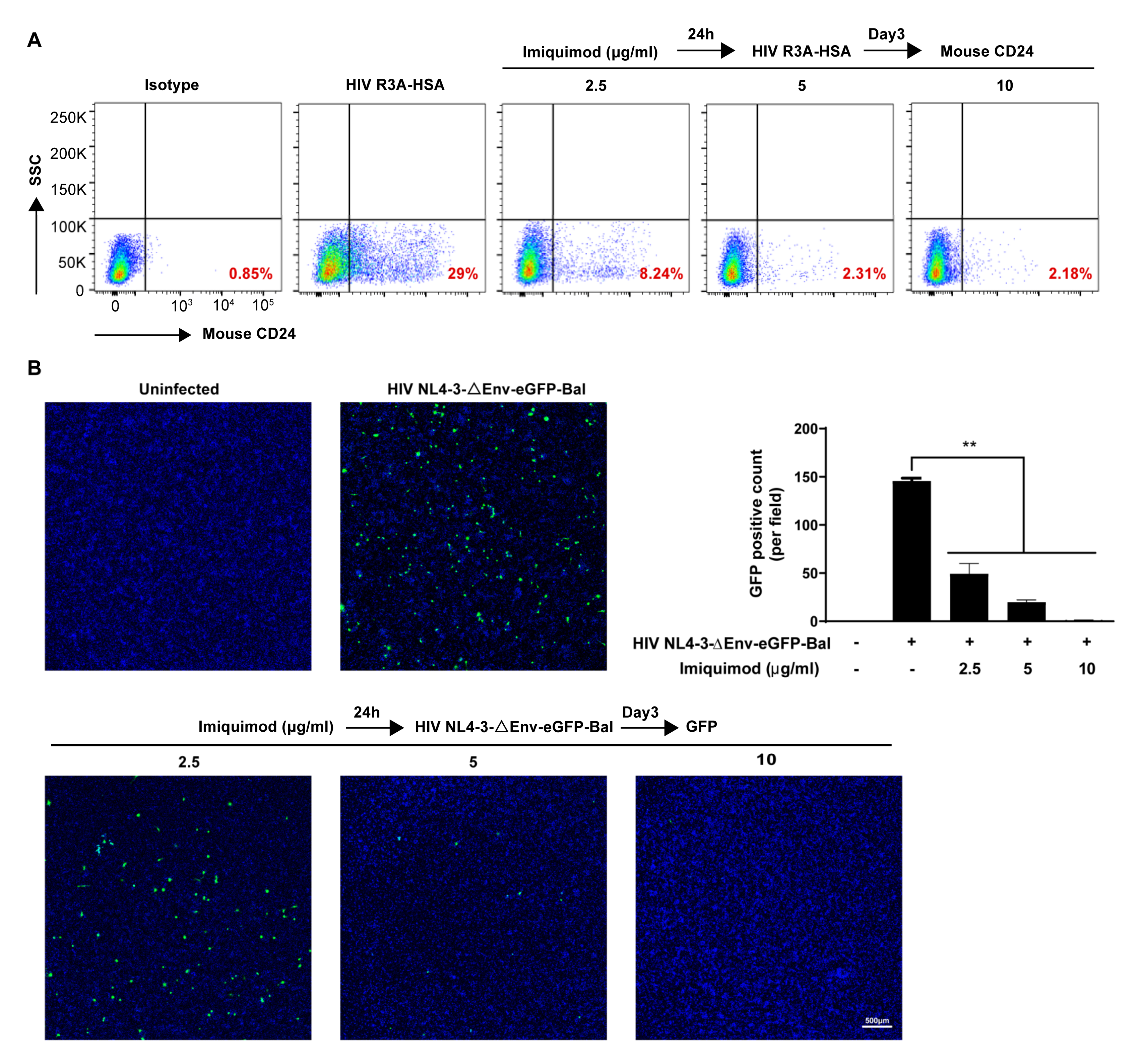 Biology 10 00661 g003