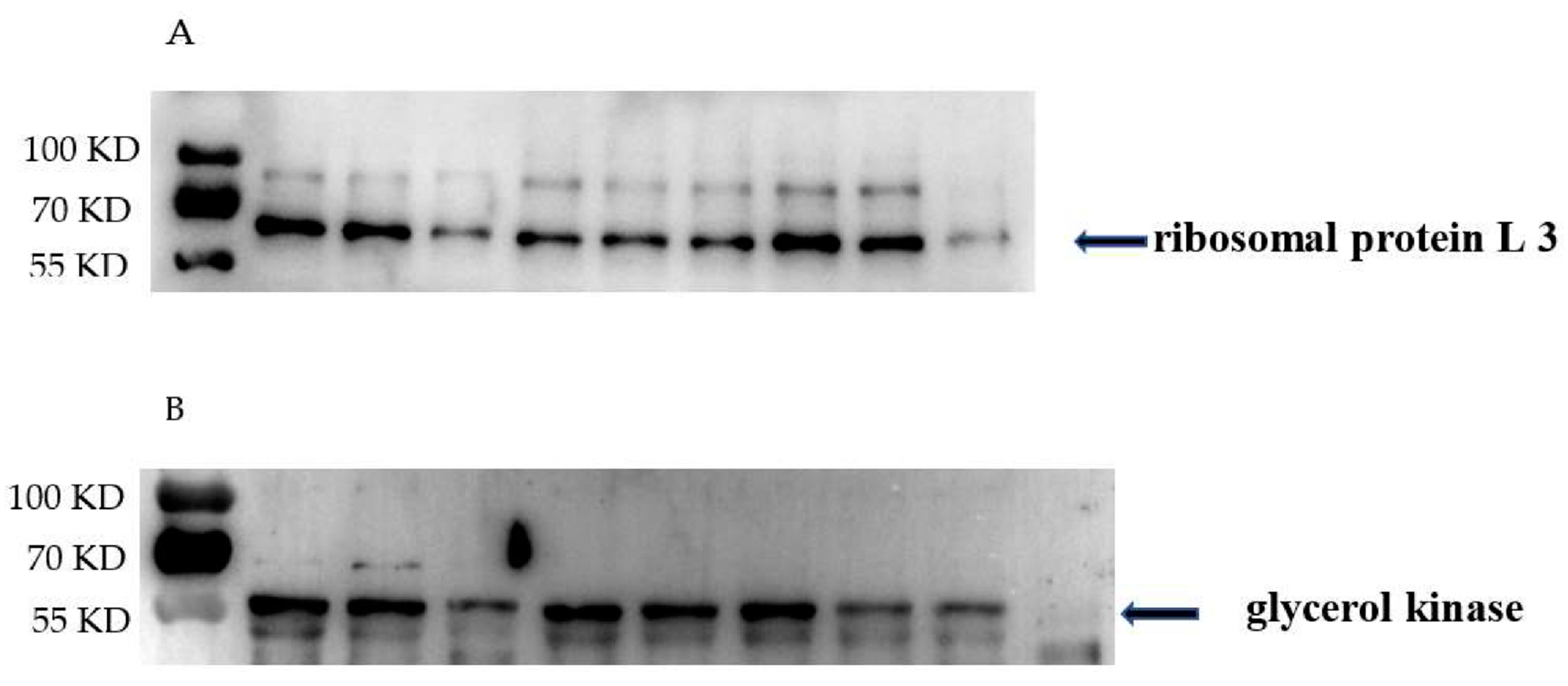 Biology 10 00664 g006