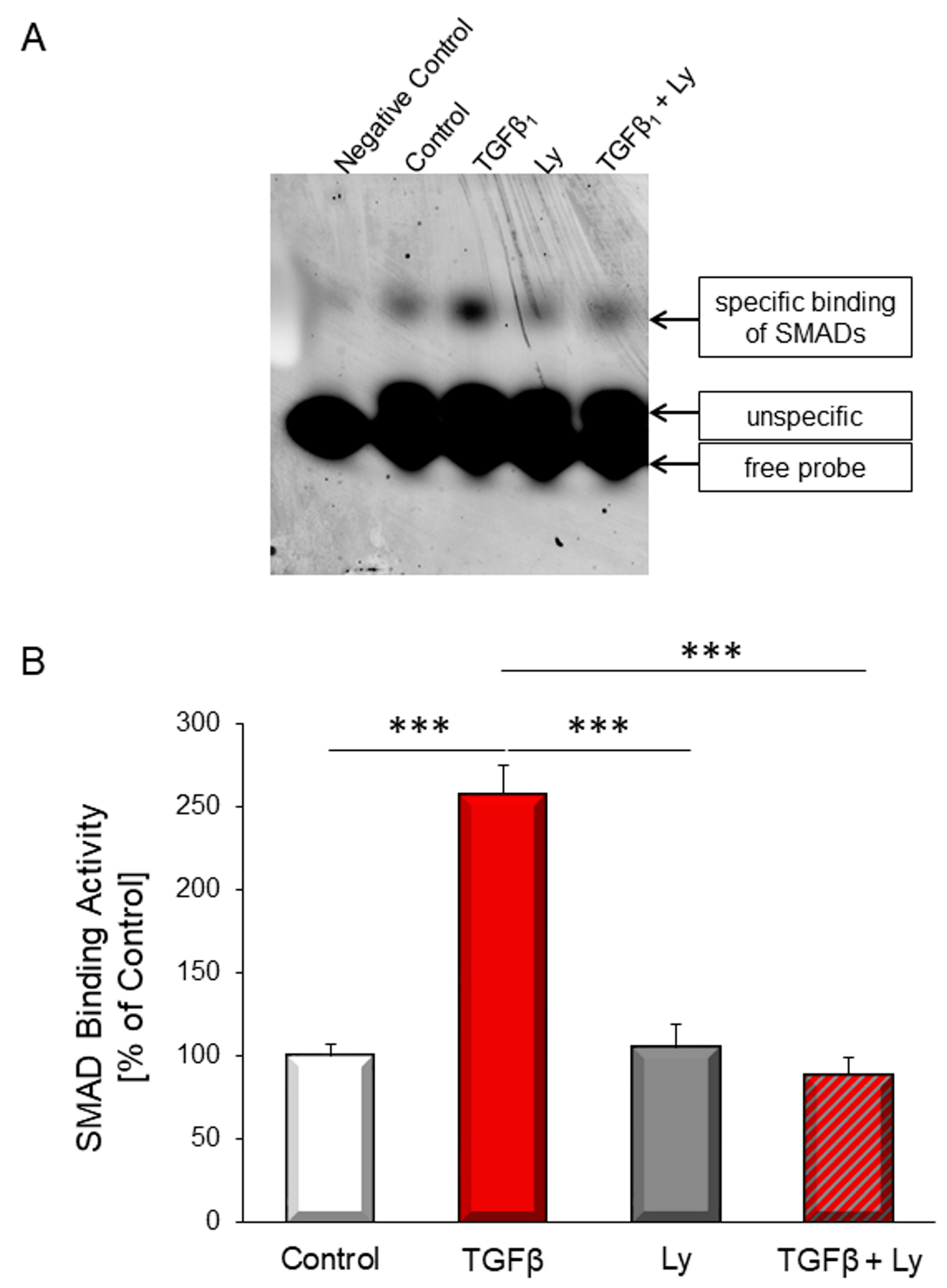 Biology 10 00670 g002