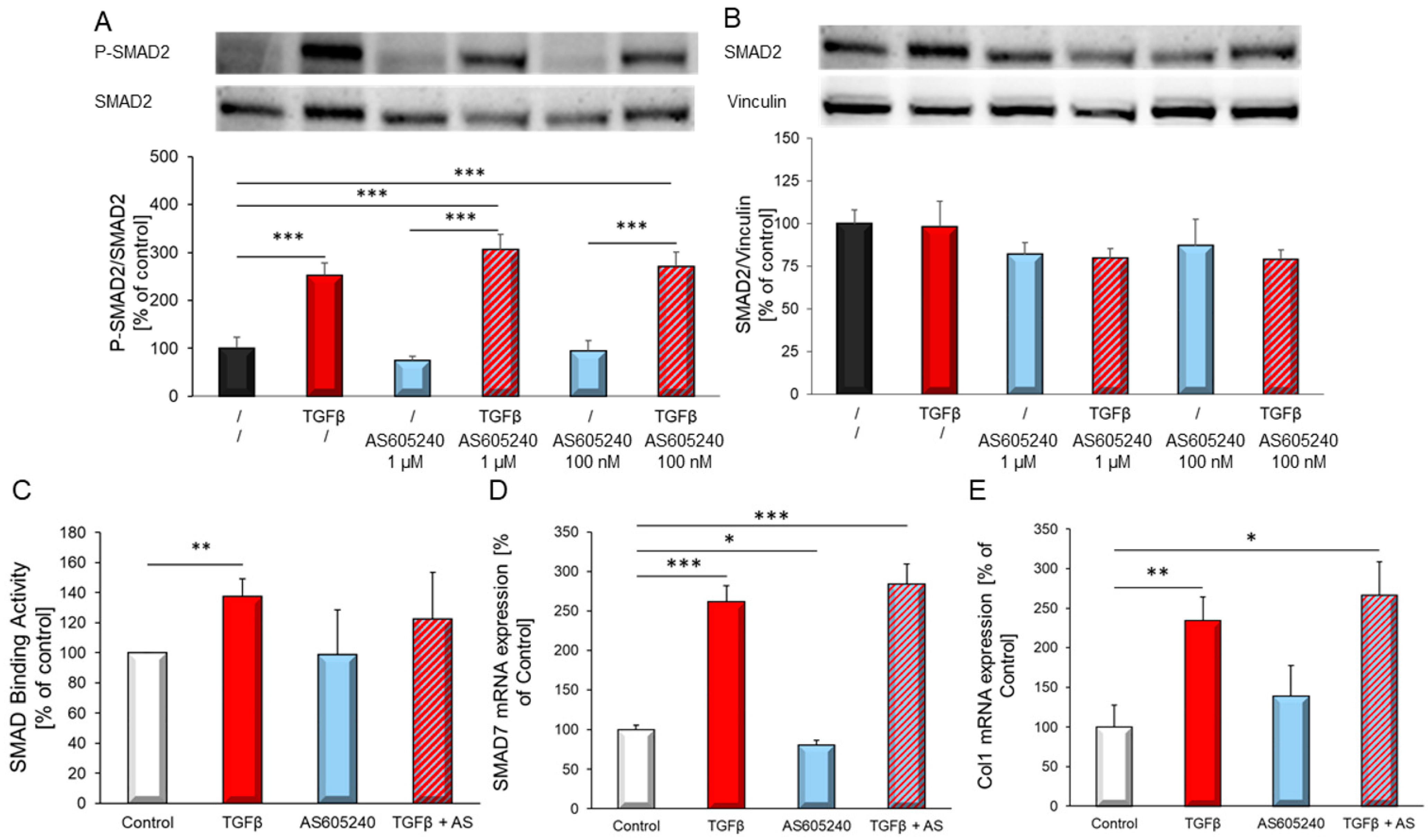 Biology 10 00670 g007