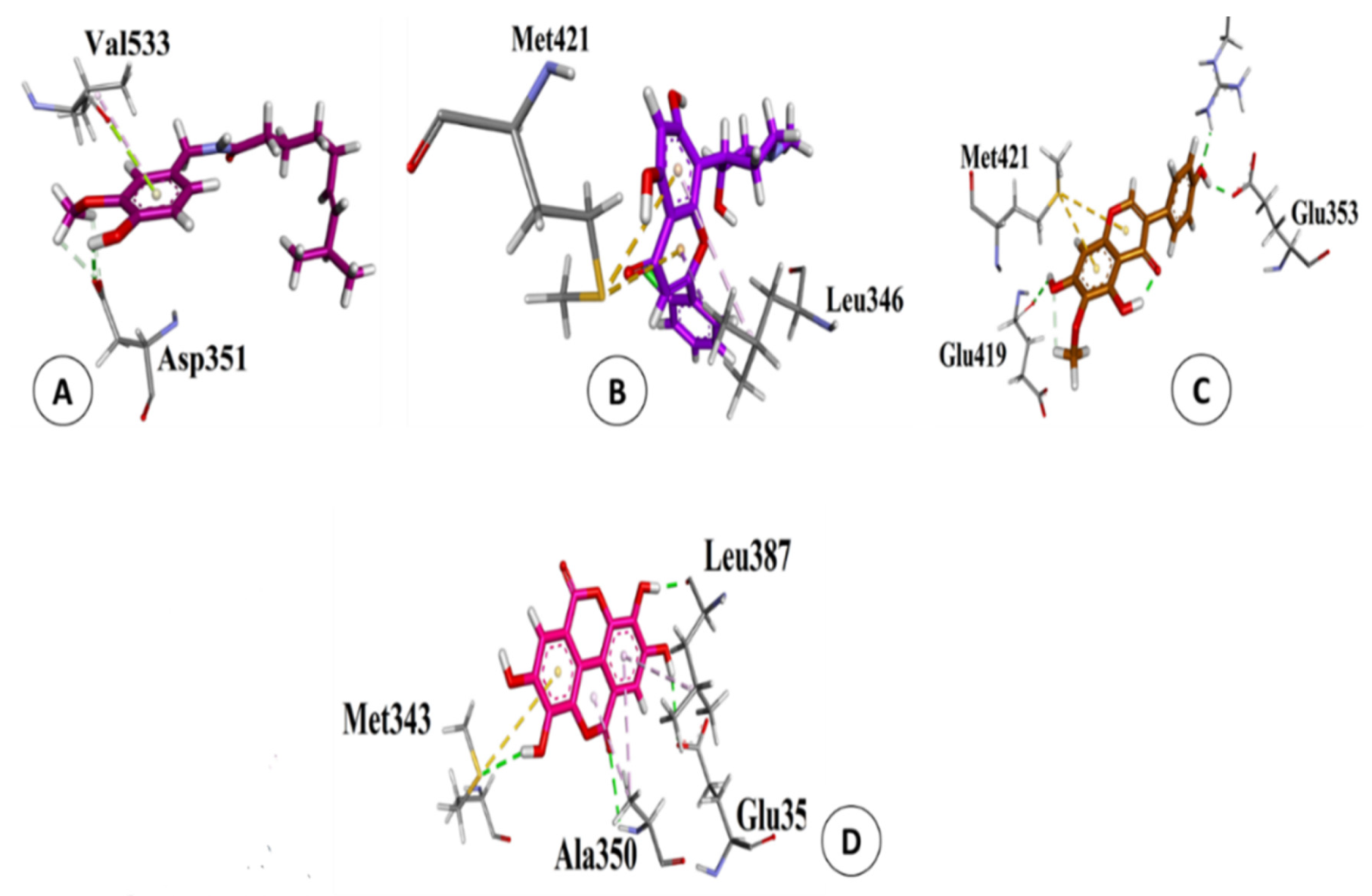 Biology 10 00681 g005