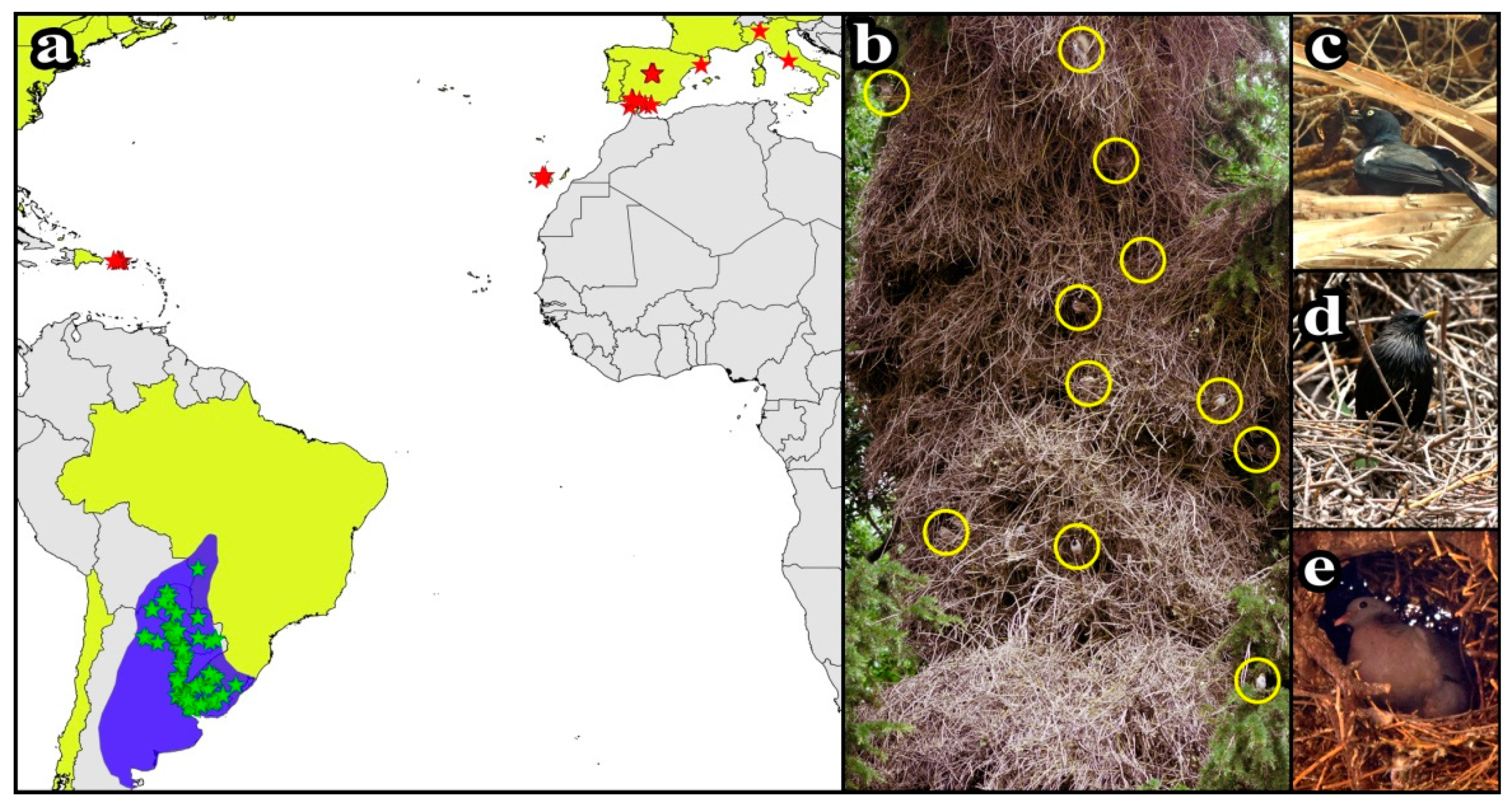 Biology 10 00683 g001 Biology 10 00683 g001
