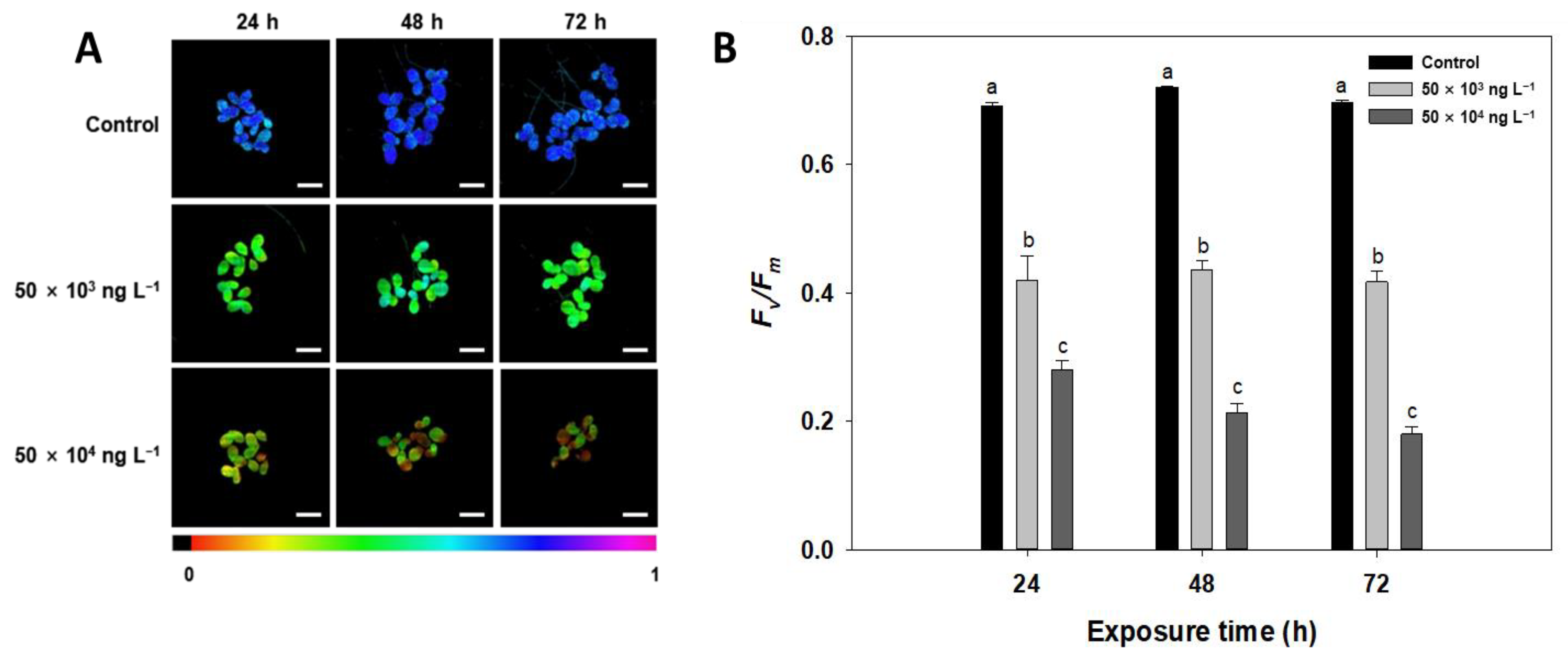 Biology 10 00684 g003