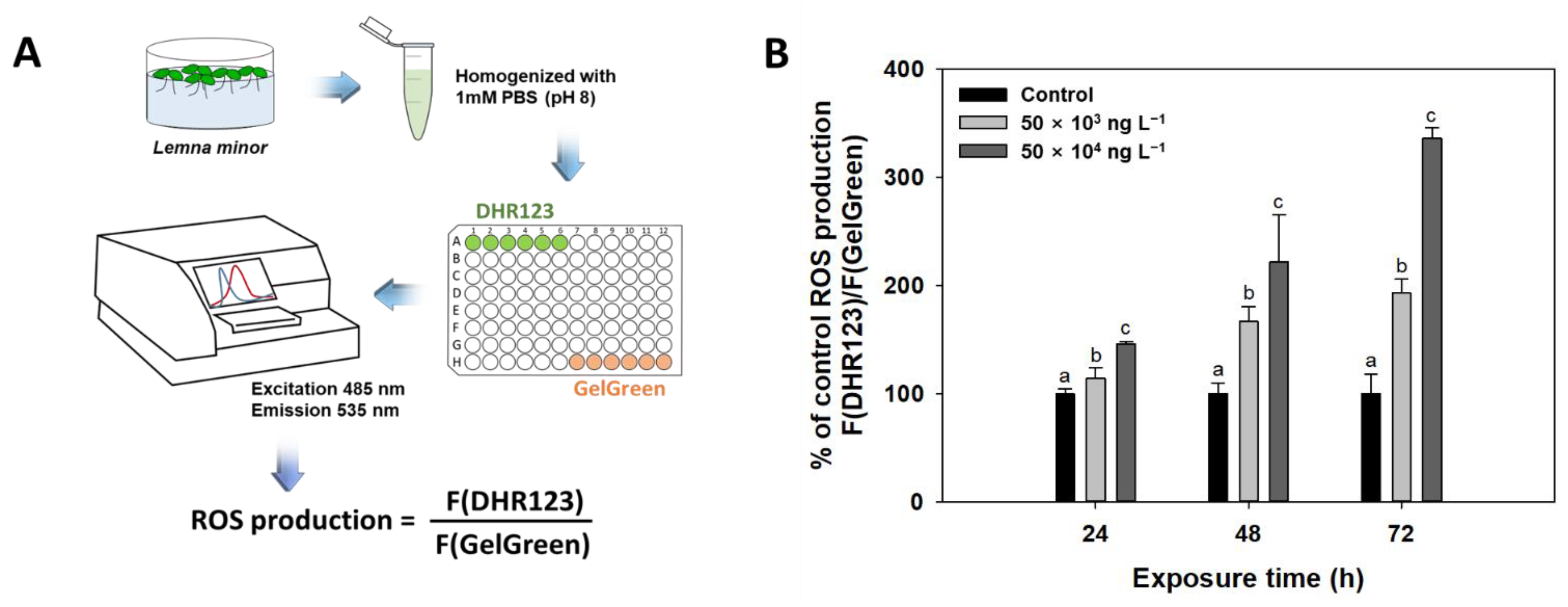 Biology 10 00684 g004