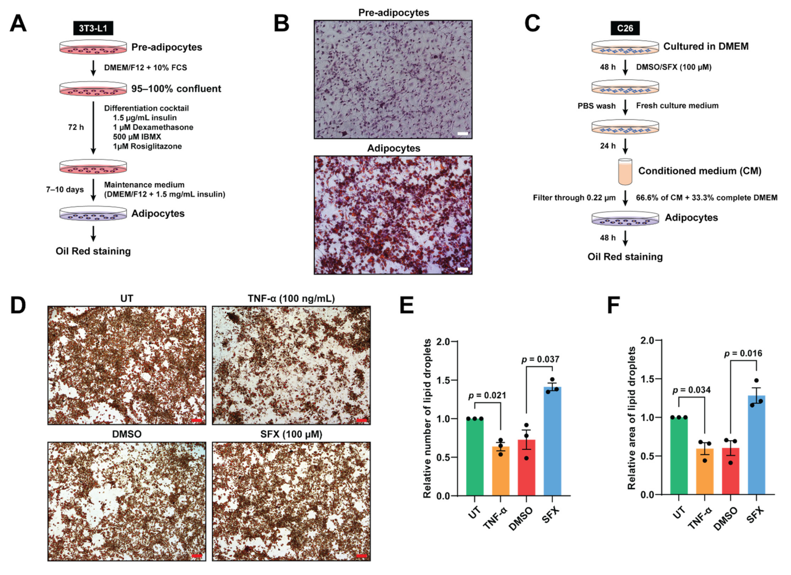 Biology 10 00700 g003 Biology 10 00700 g003
