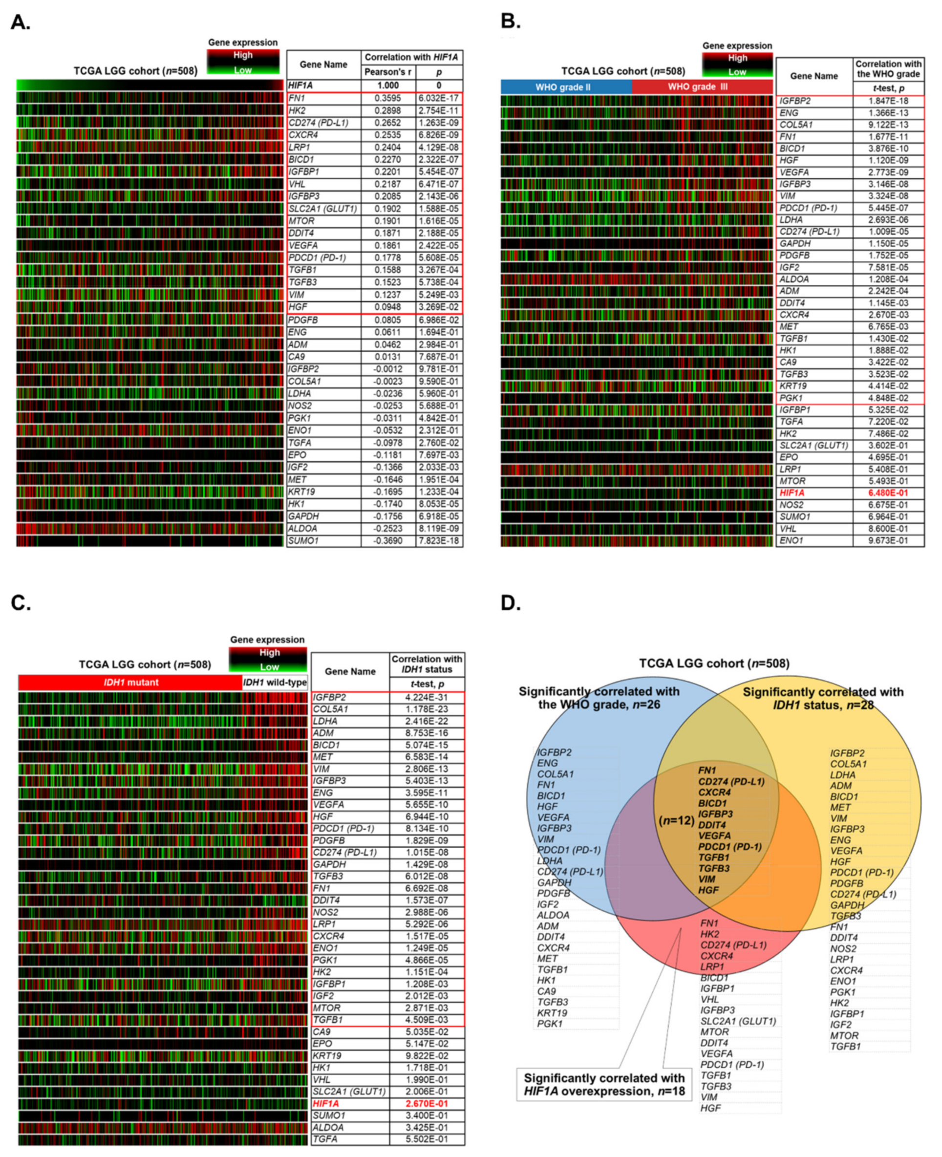 Biology 10 00701 g001