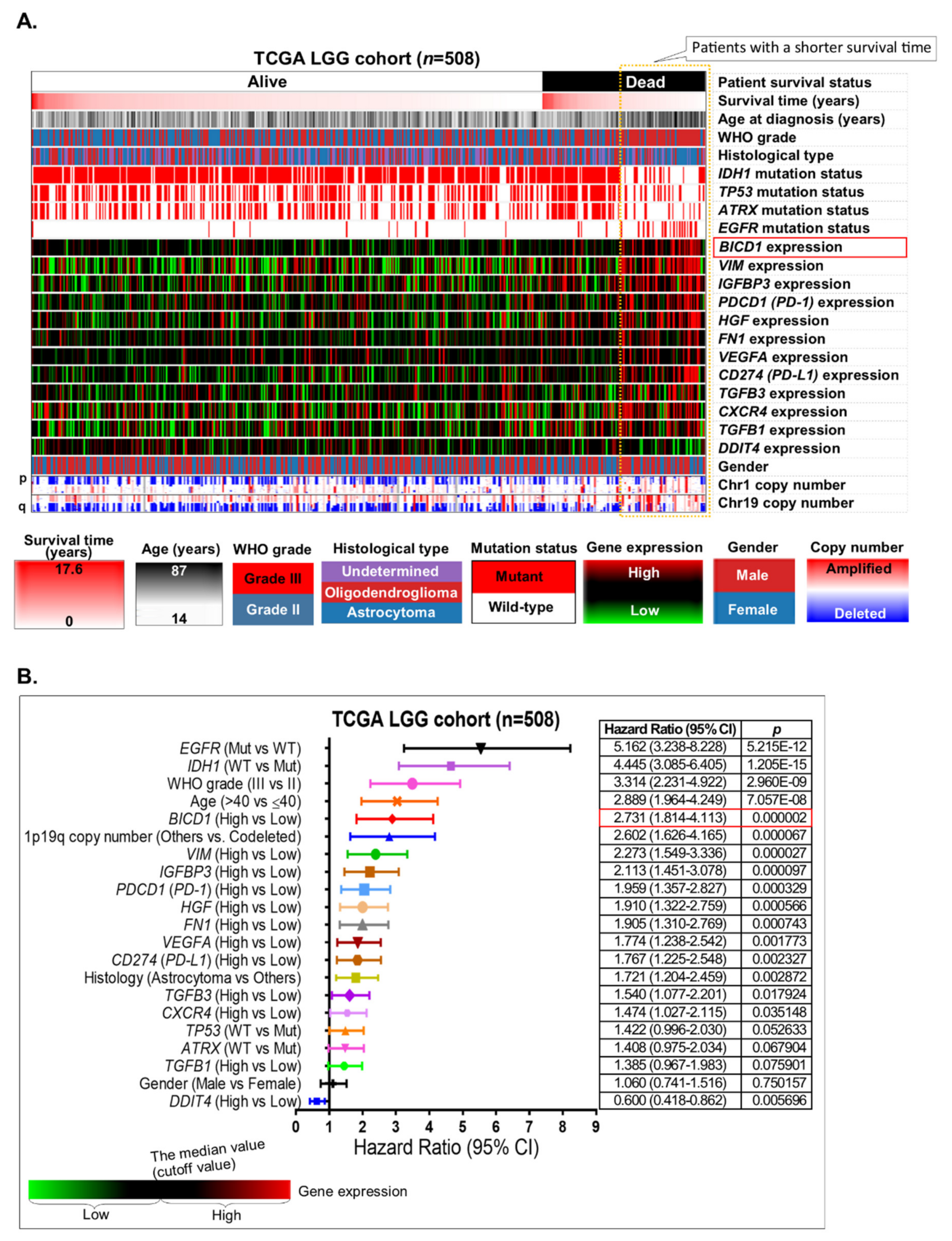 Biology 10 00701 g002
