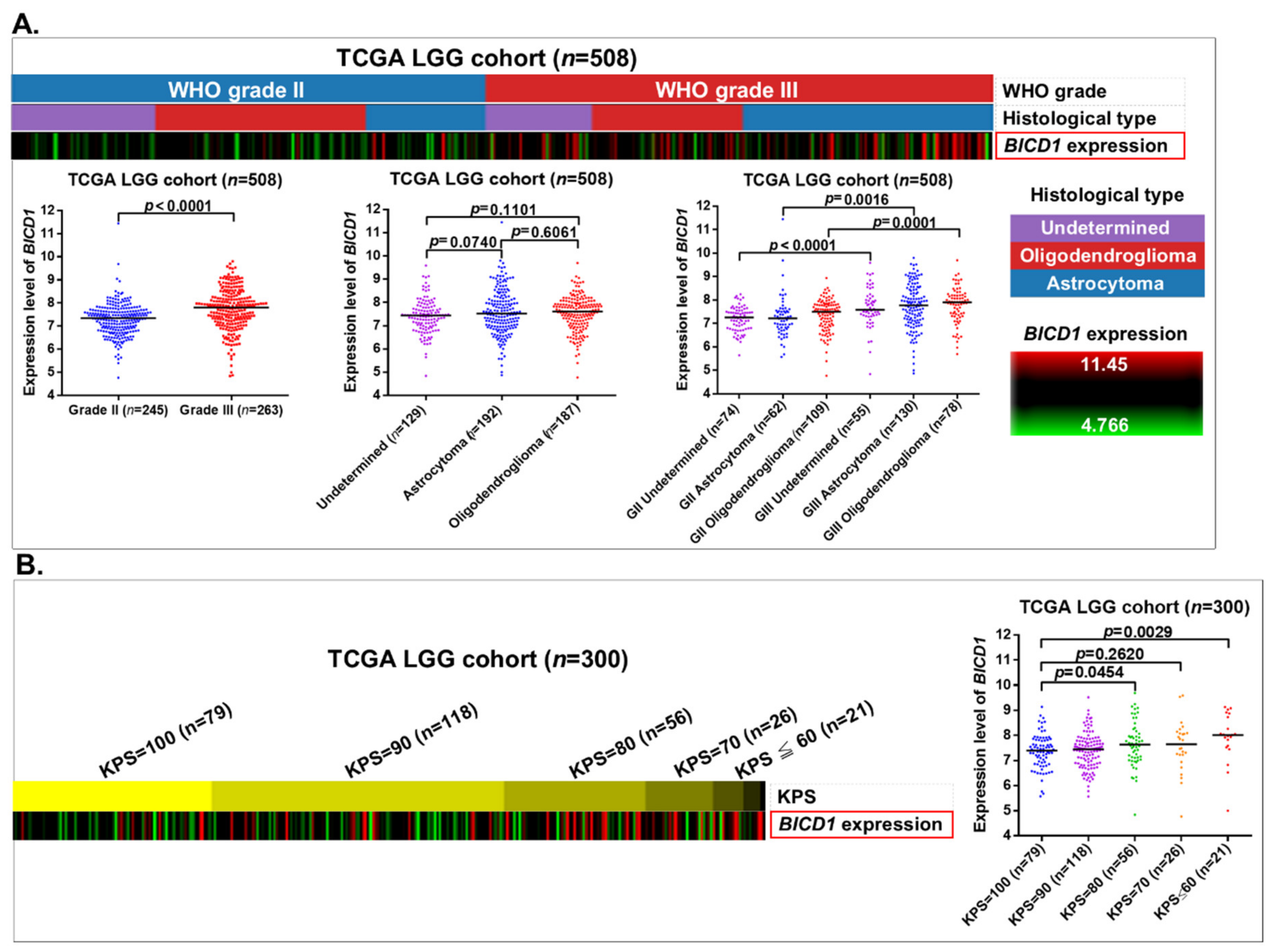 Biology 10 00701 g003