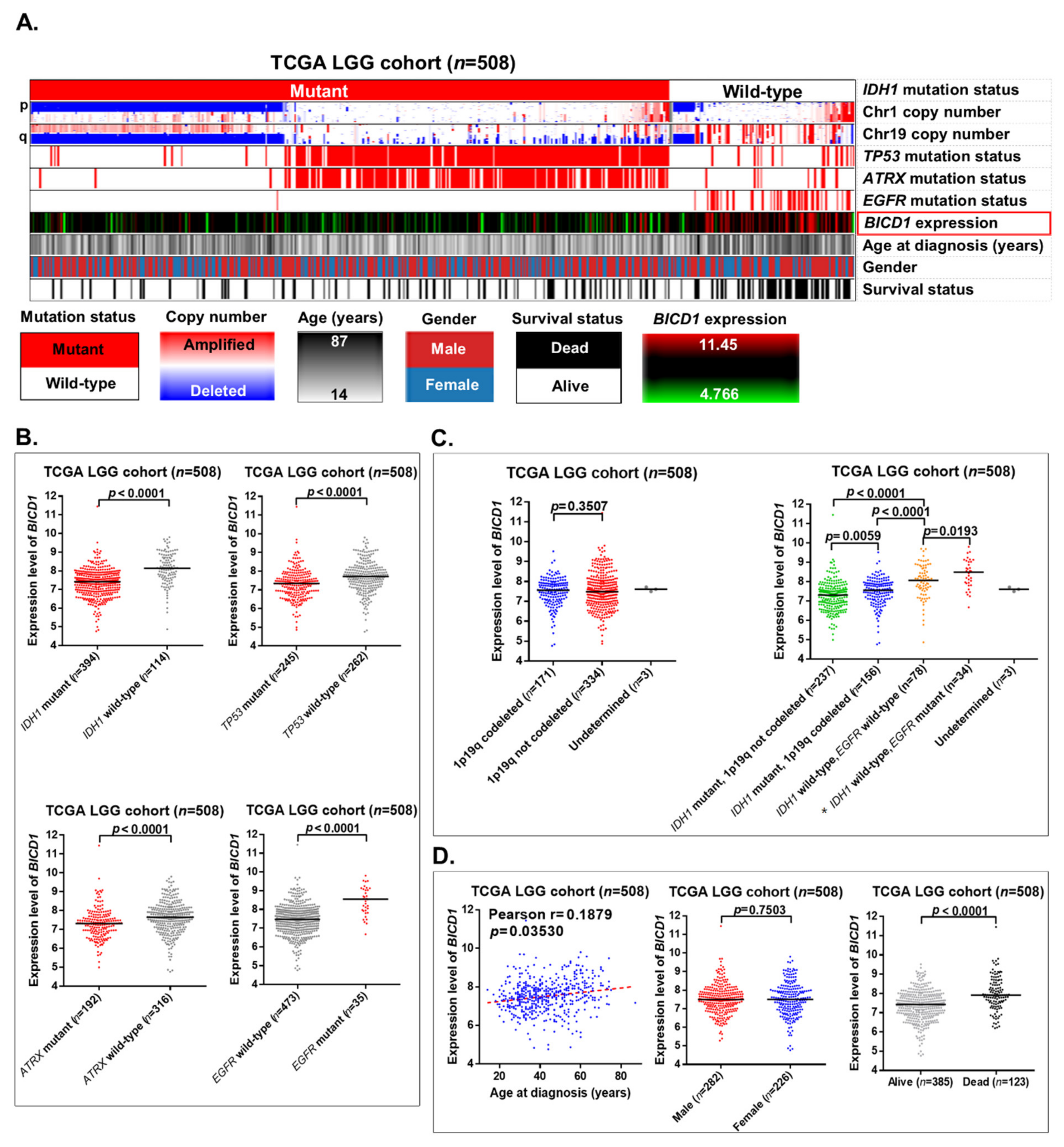 Biology 10 00701 g004