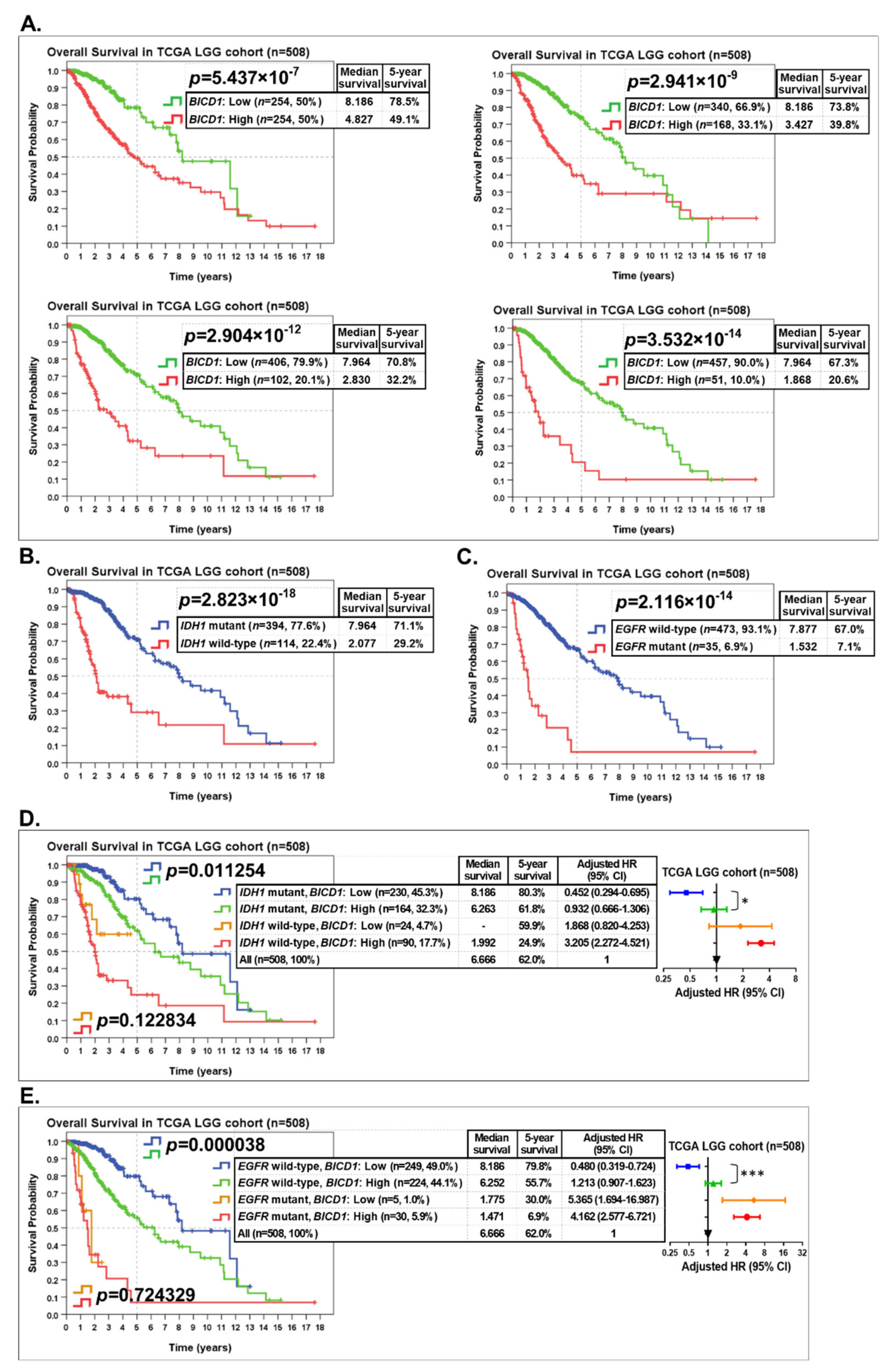 Biology 10 00701 g005