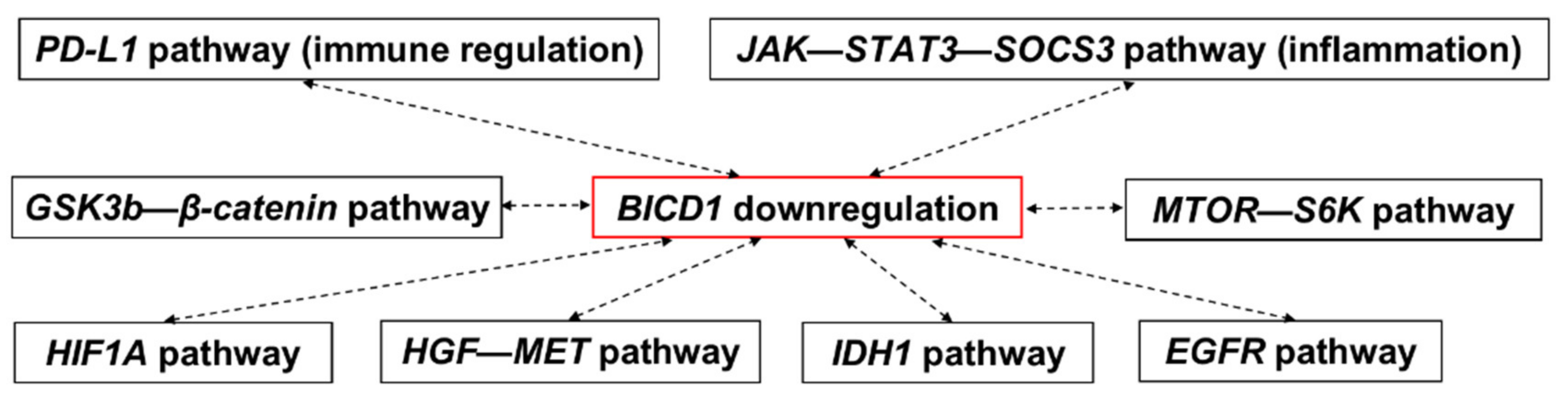 Biology 10 00701 g008