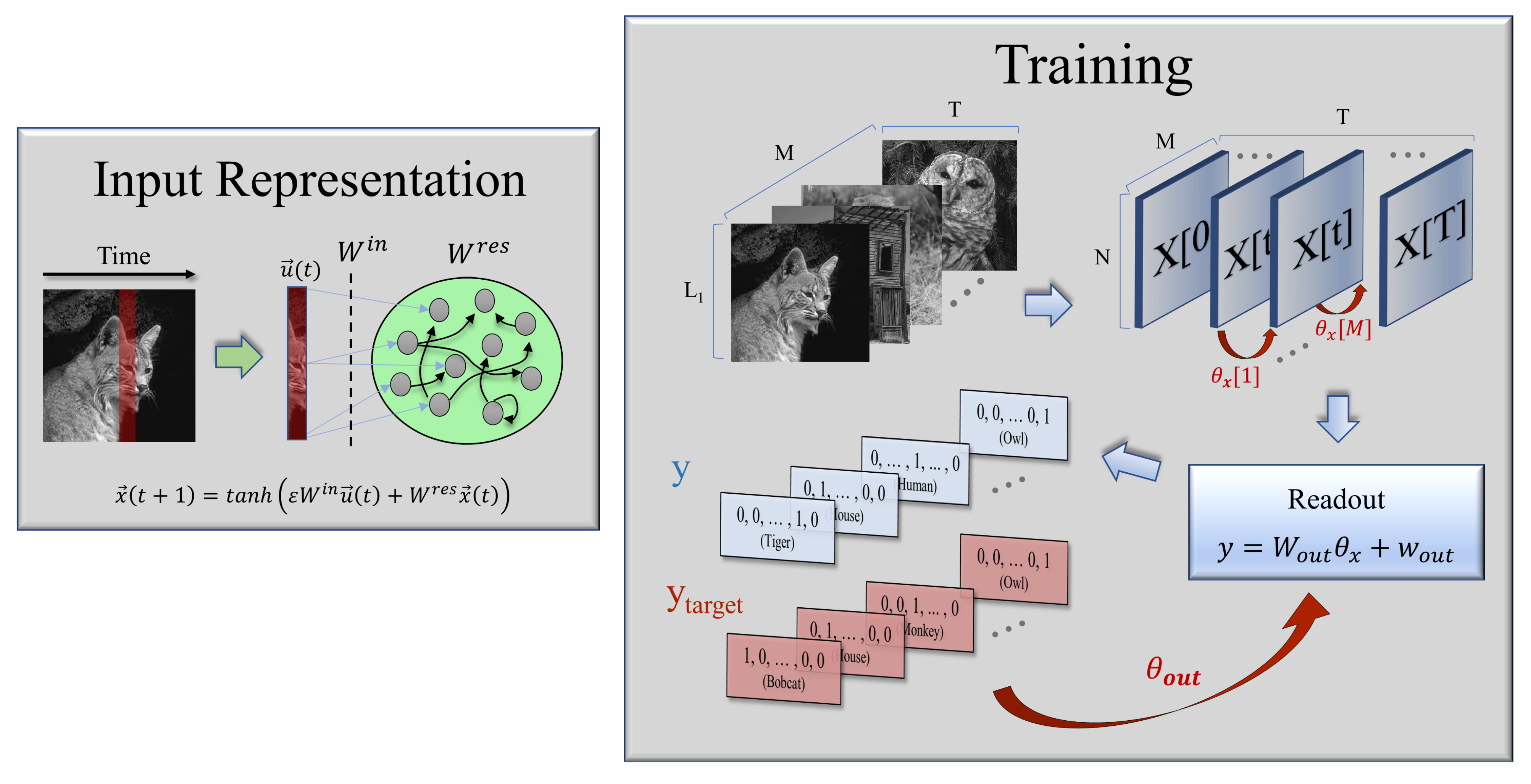 Biology 10 00702 g001 550