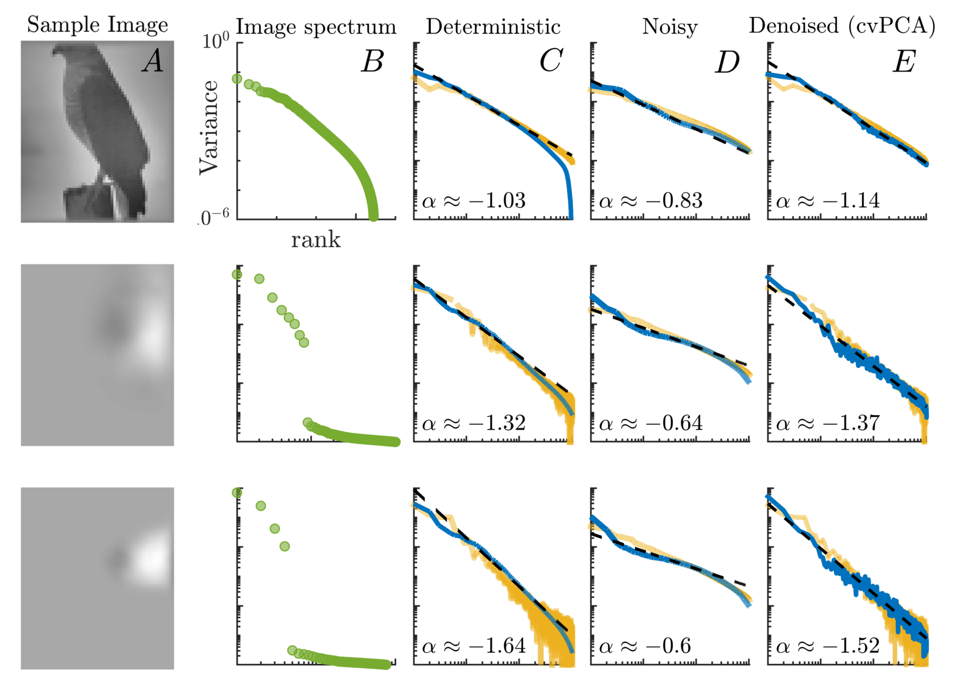Biology 10 00702 g003 550