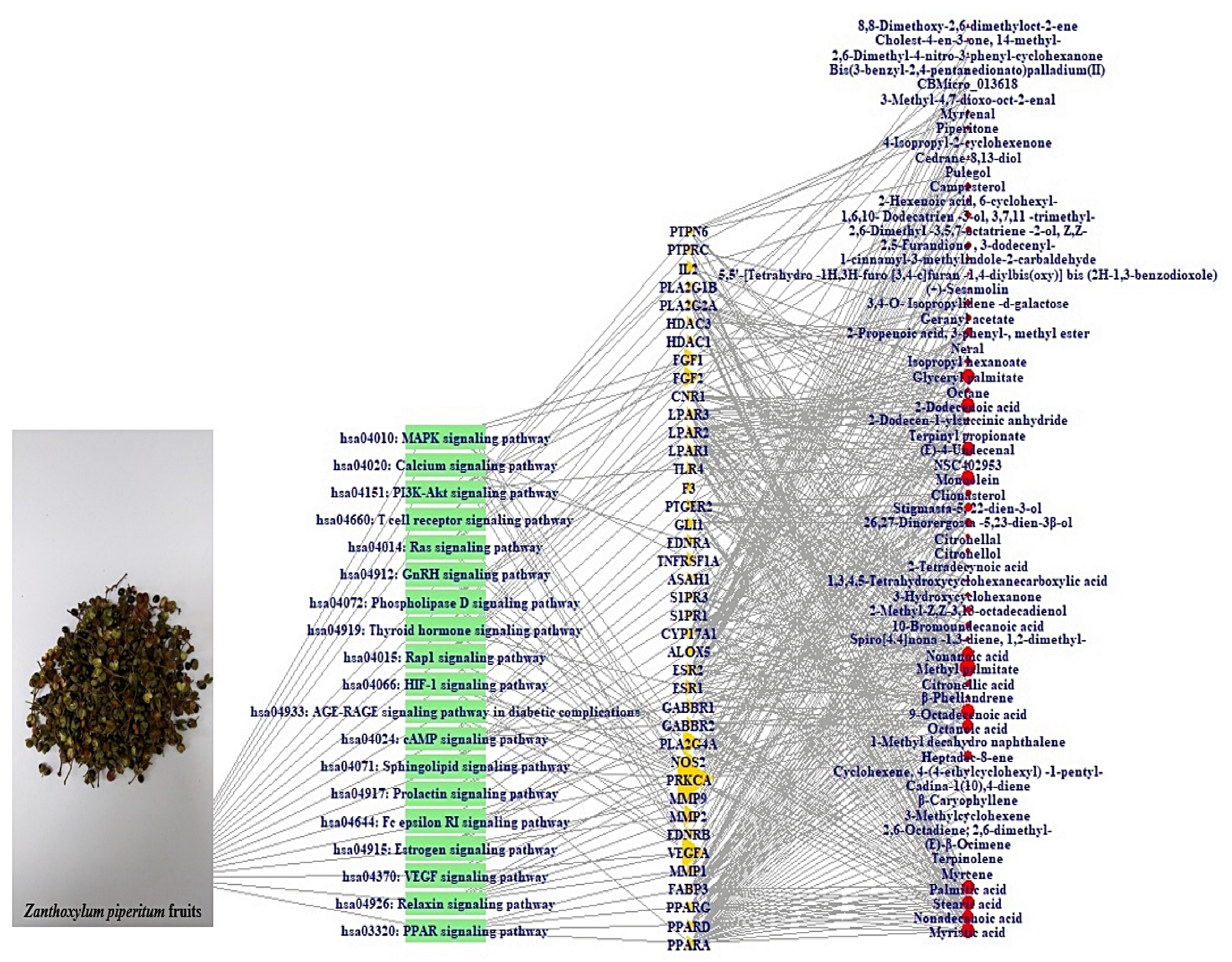 Biology 10 00703 g006