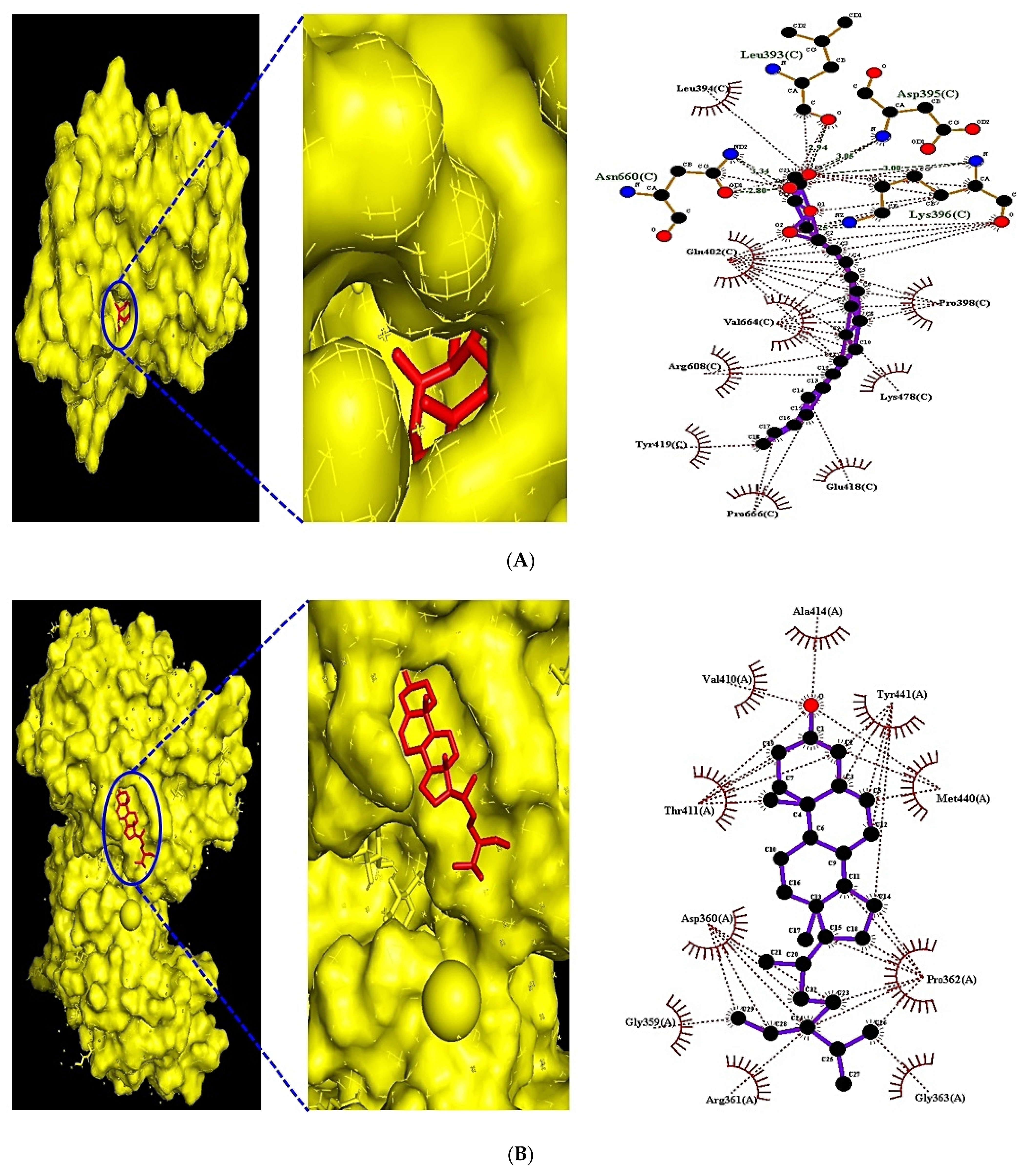 Biology 10 00703 g009a