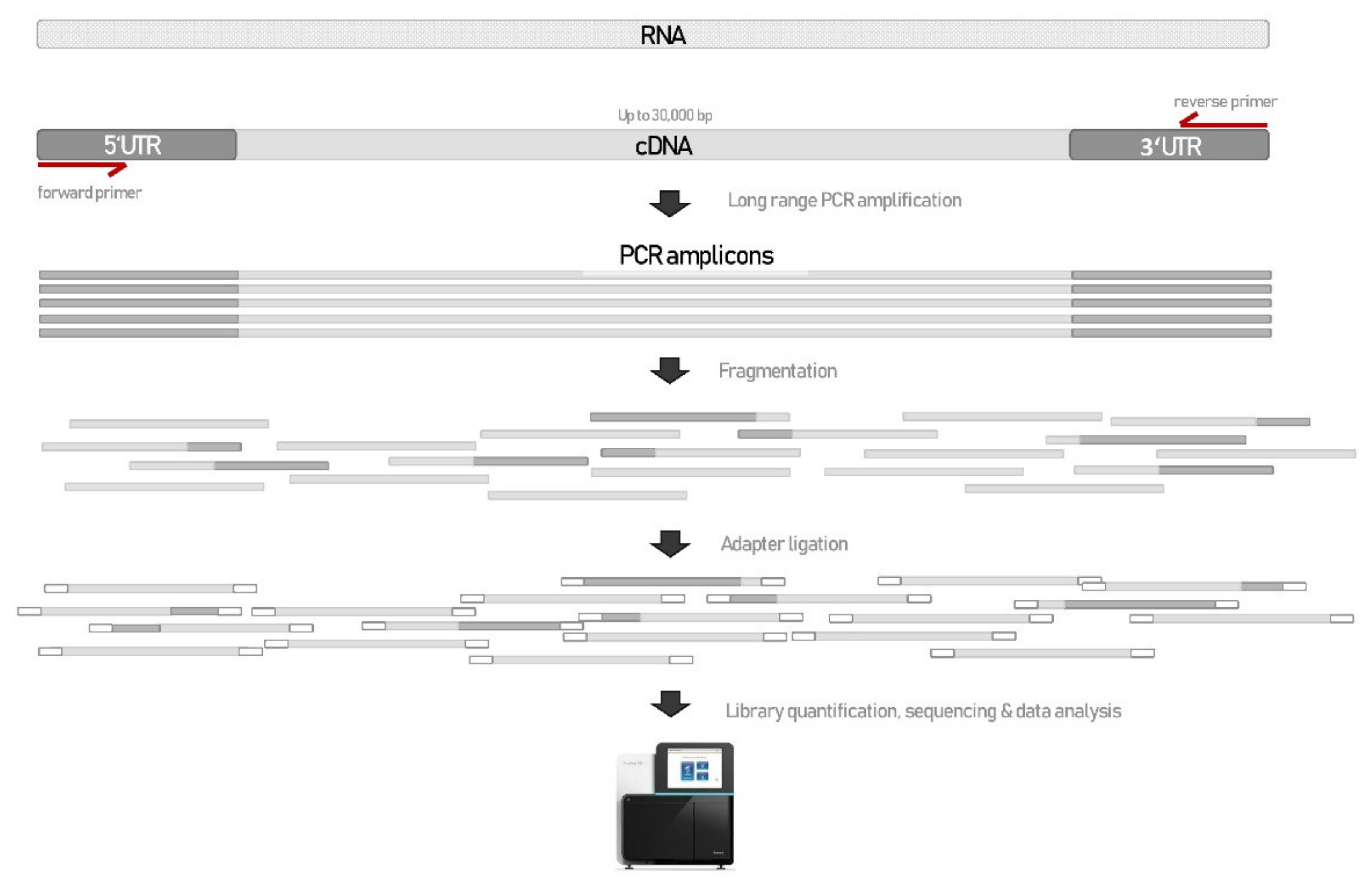 Biology 10 00706 g001 550