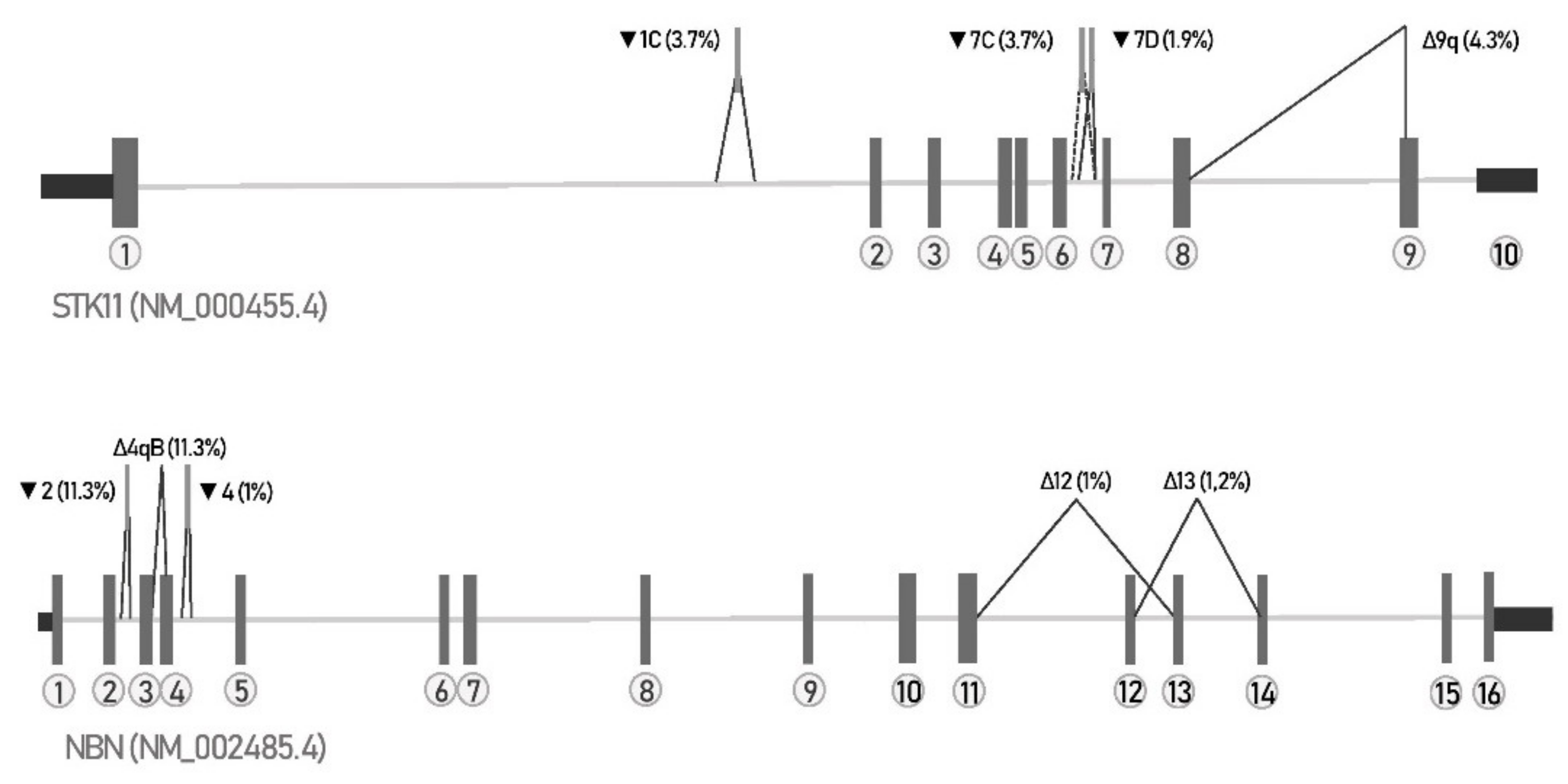 Biology 10 00706 g002 550
