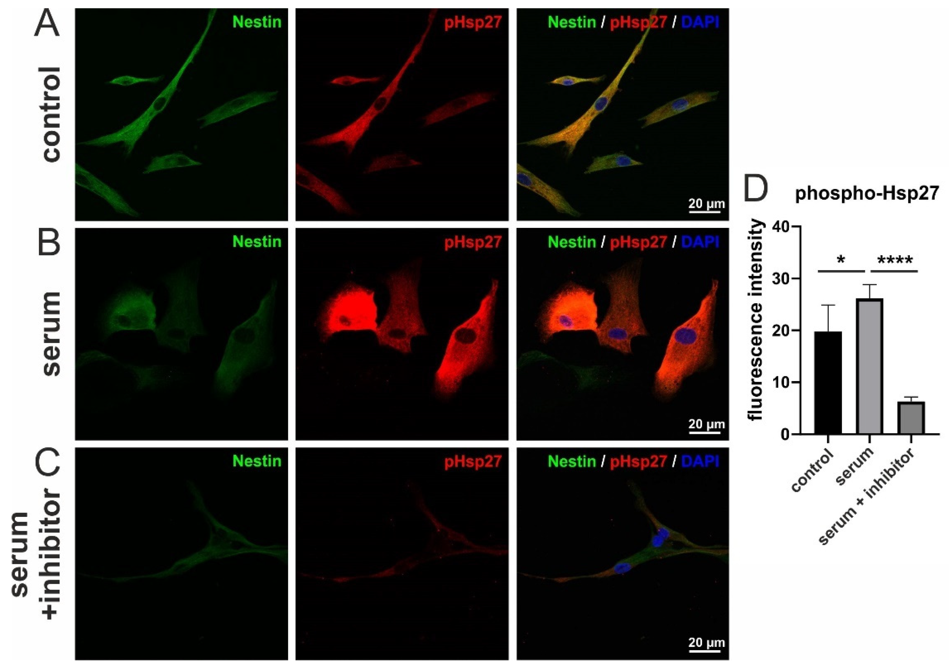 Biology 10 00708 g005 Biology 10 00708 g005