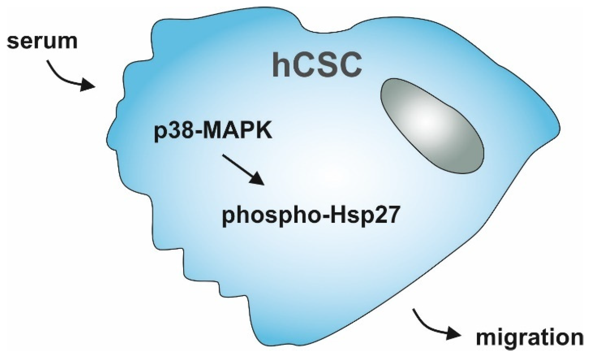 Biology 10 00708 g006 Biology 10 00708 g006