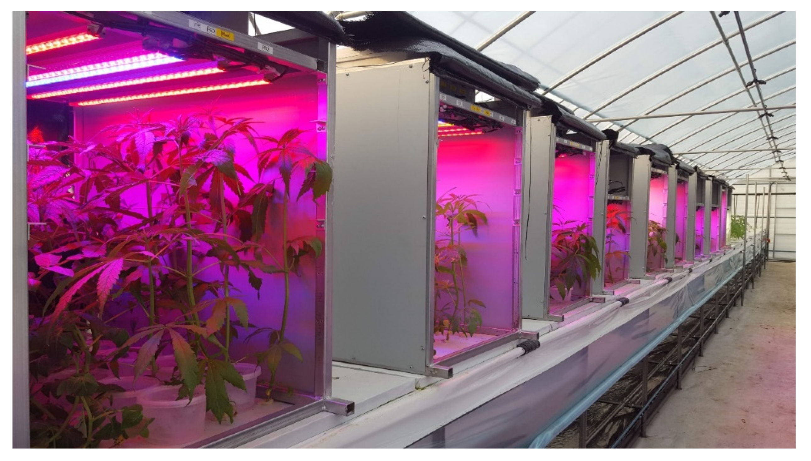 Biology 10 00710 g001