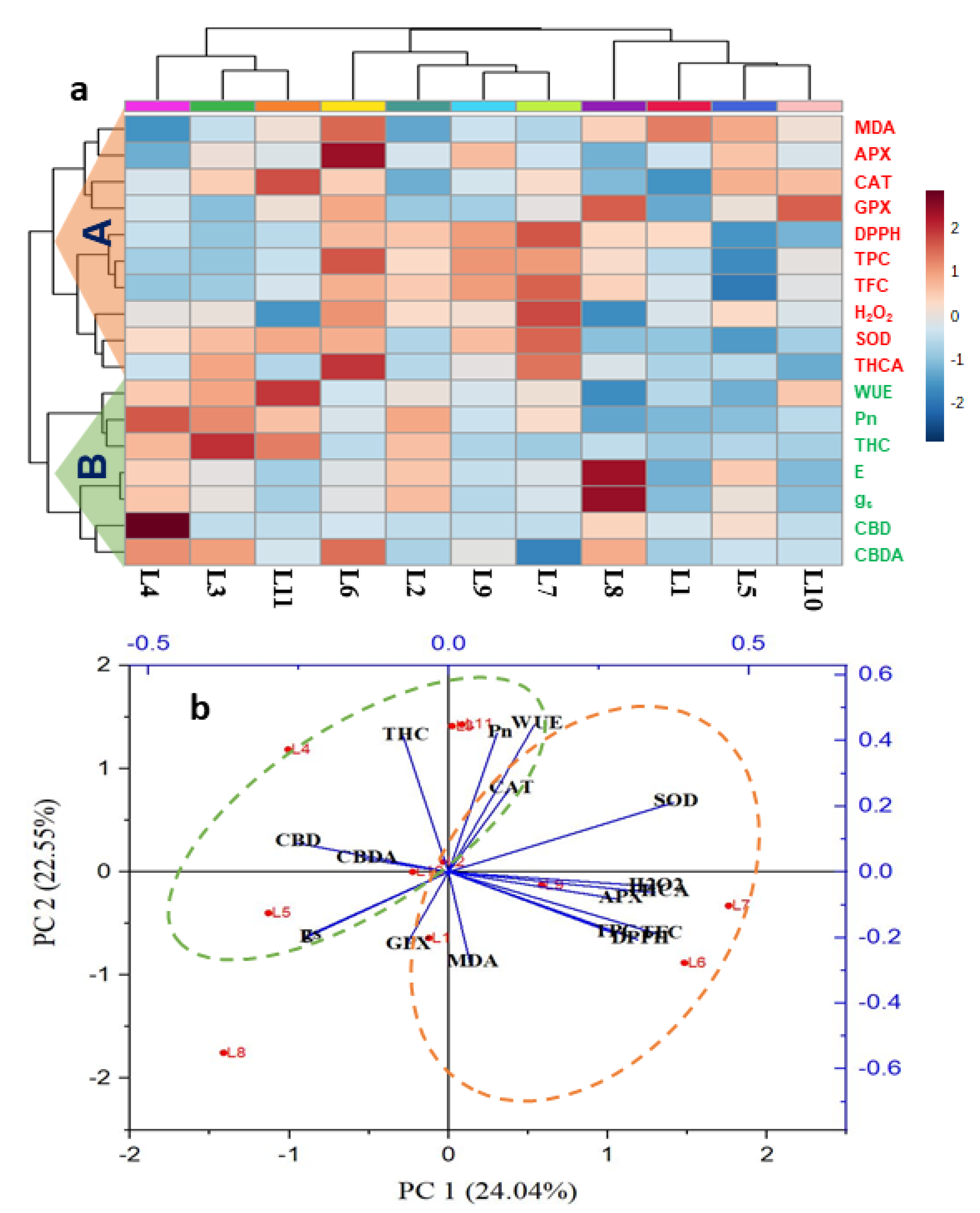 Biology 10 00710 g008