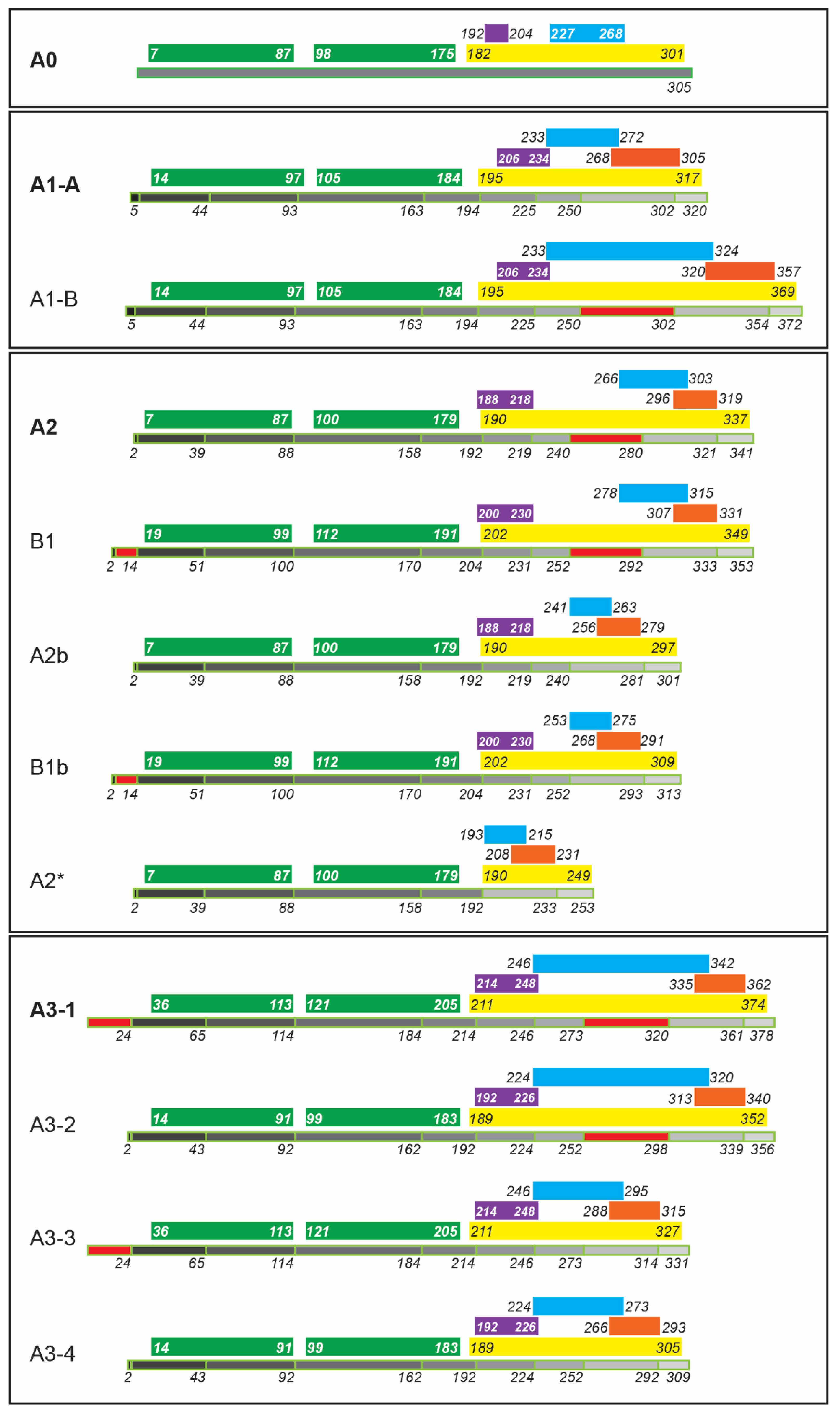 Biology Free Full-Text hnRNP A/B Proteins An Encyclopedic Assessment of Their Roles in Homeostasis and Disease photo