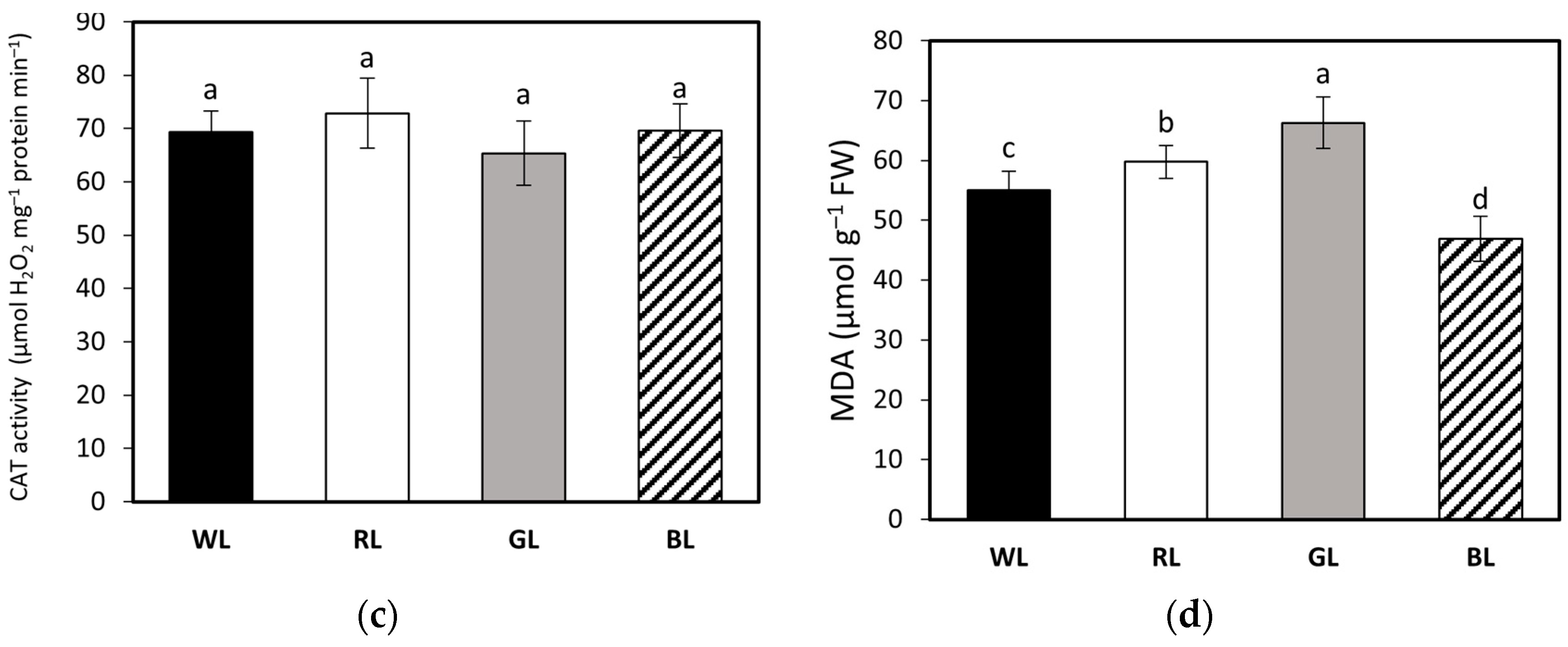 Biology 10 00721 g008b