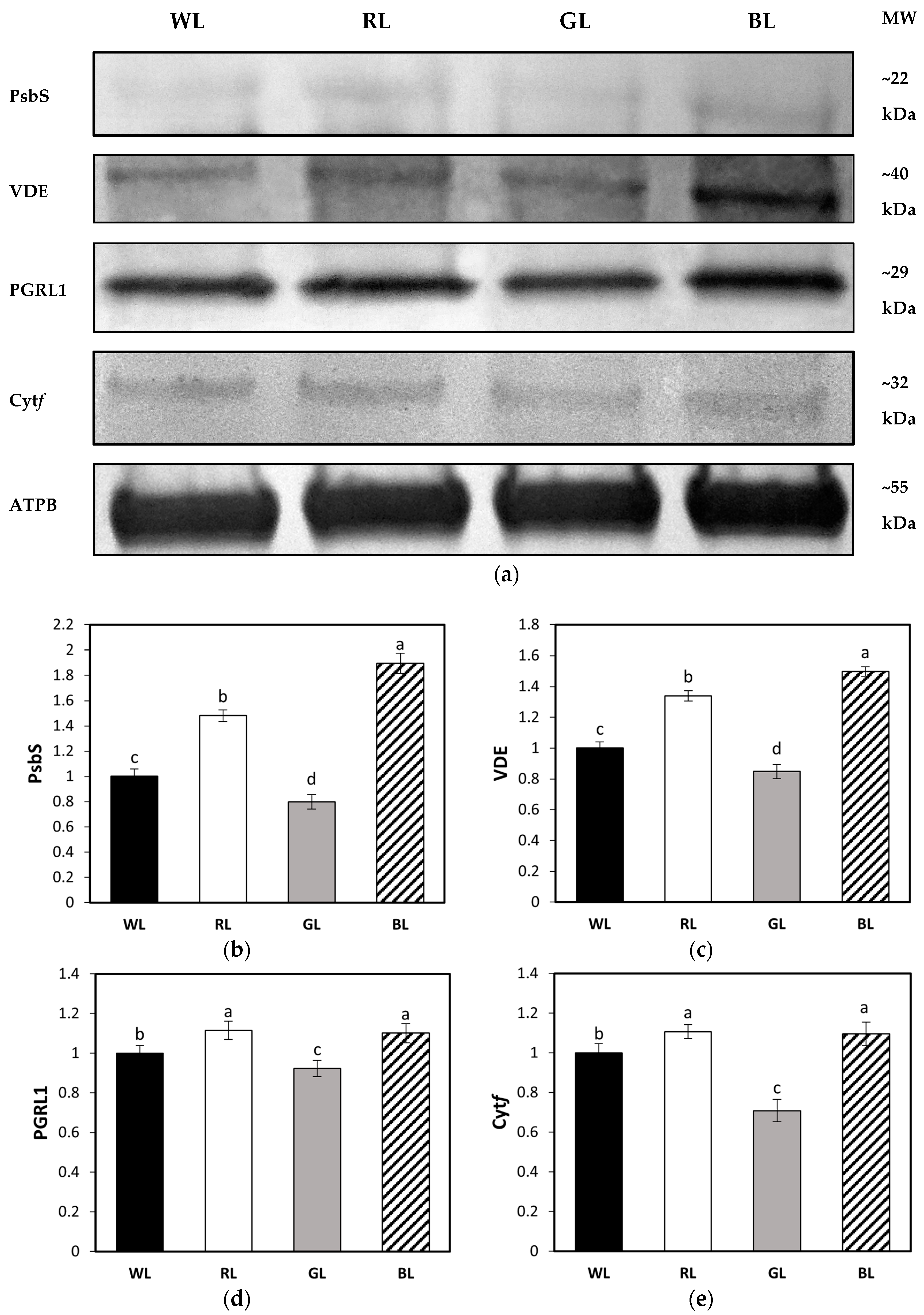 Biology 10 00721 g009