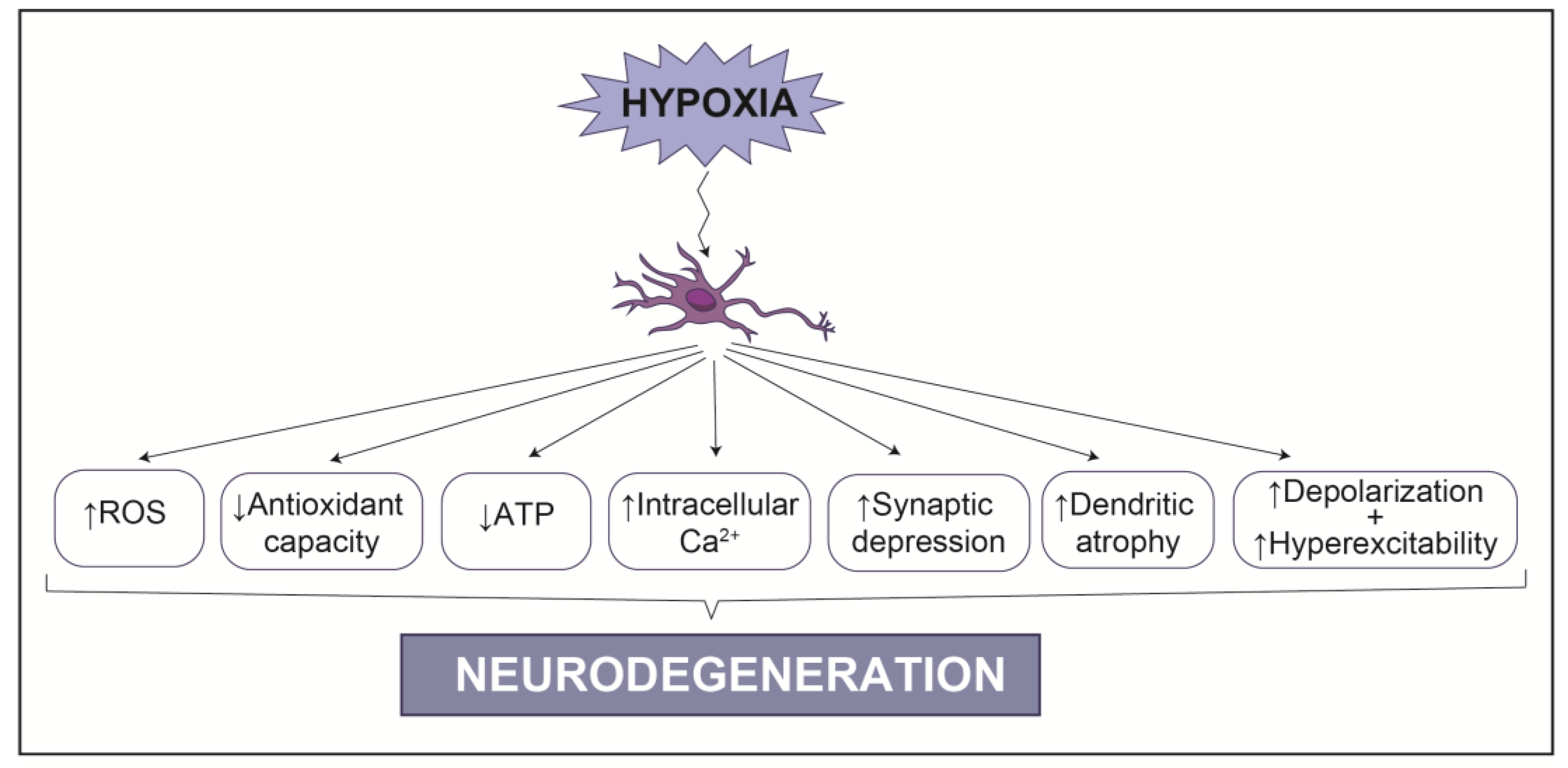 Biology 10 00723 g002