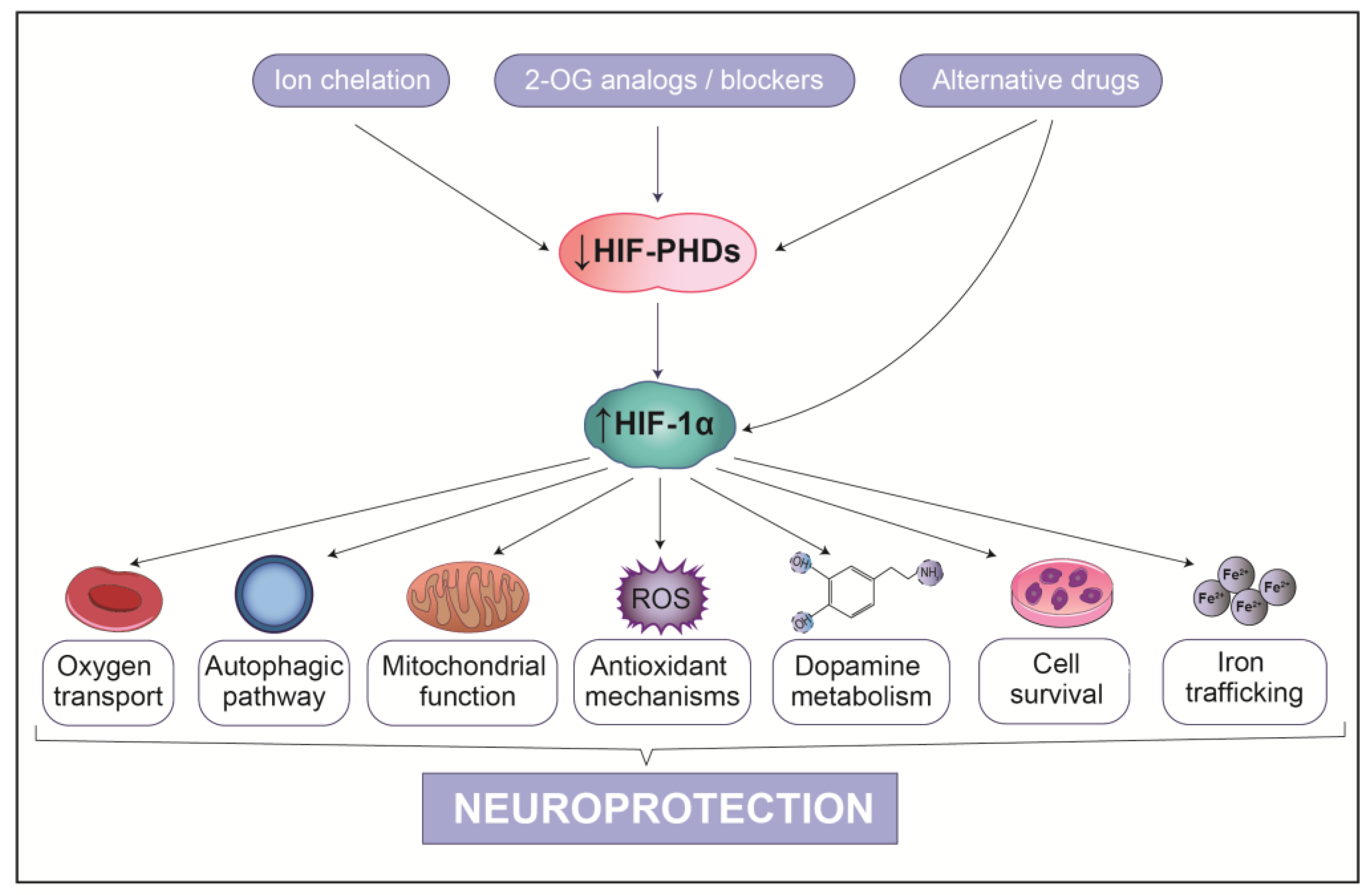 Biology 10 00723 g006