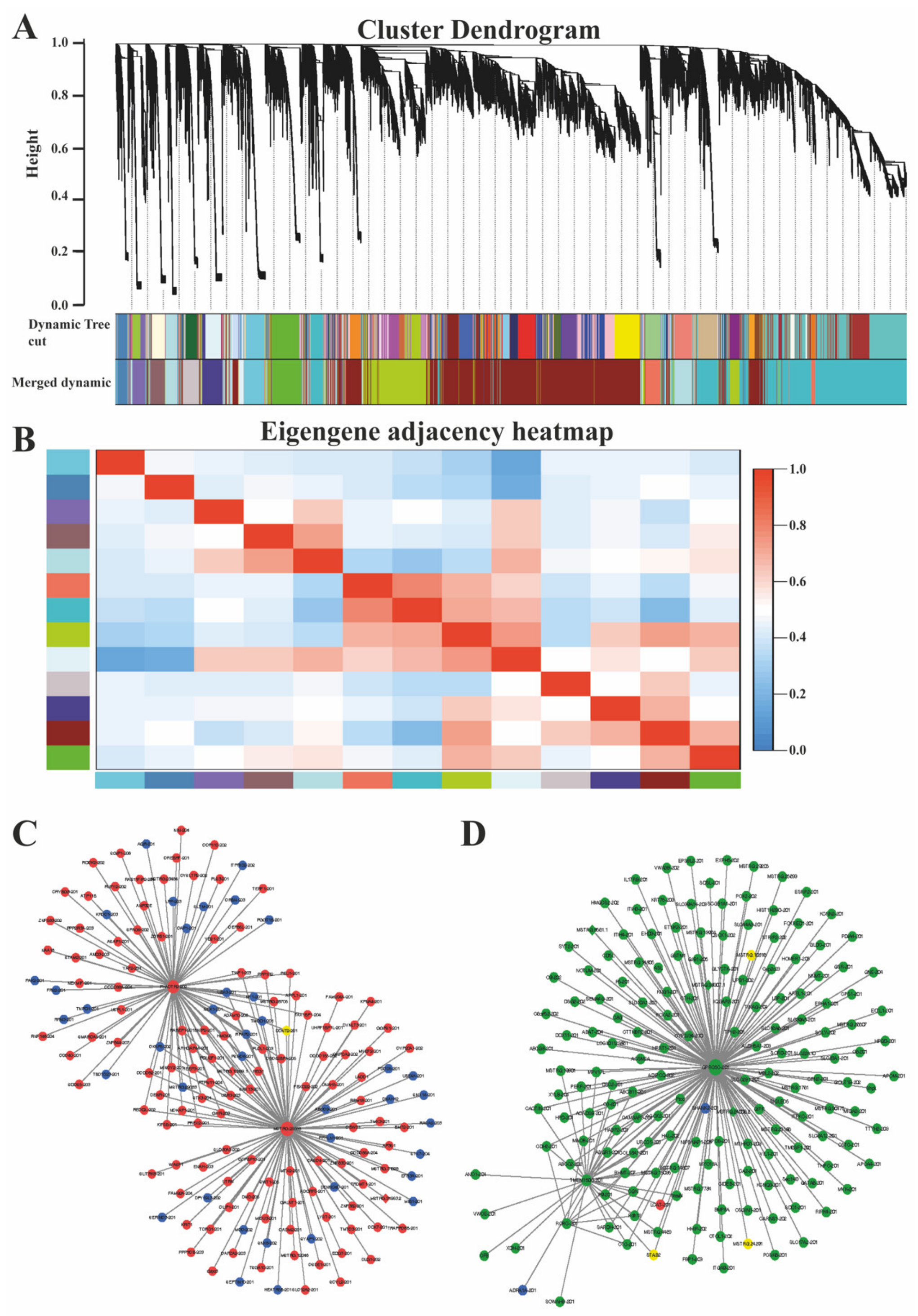 Biology 10 00726 g005