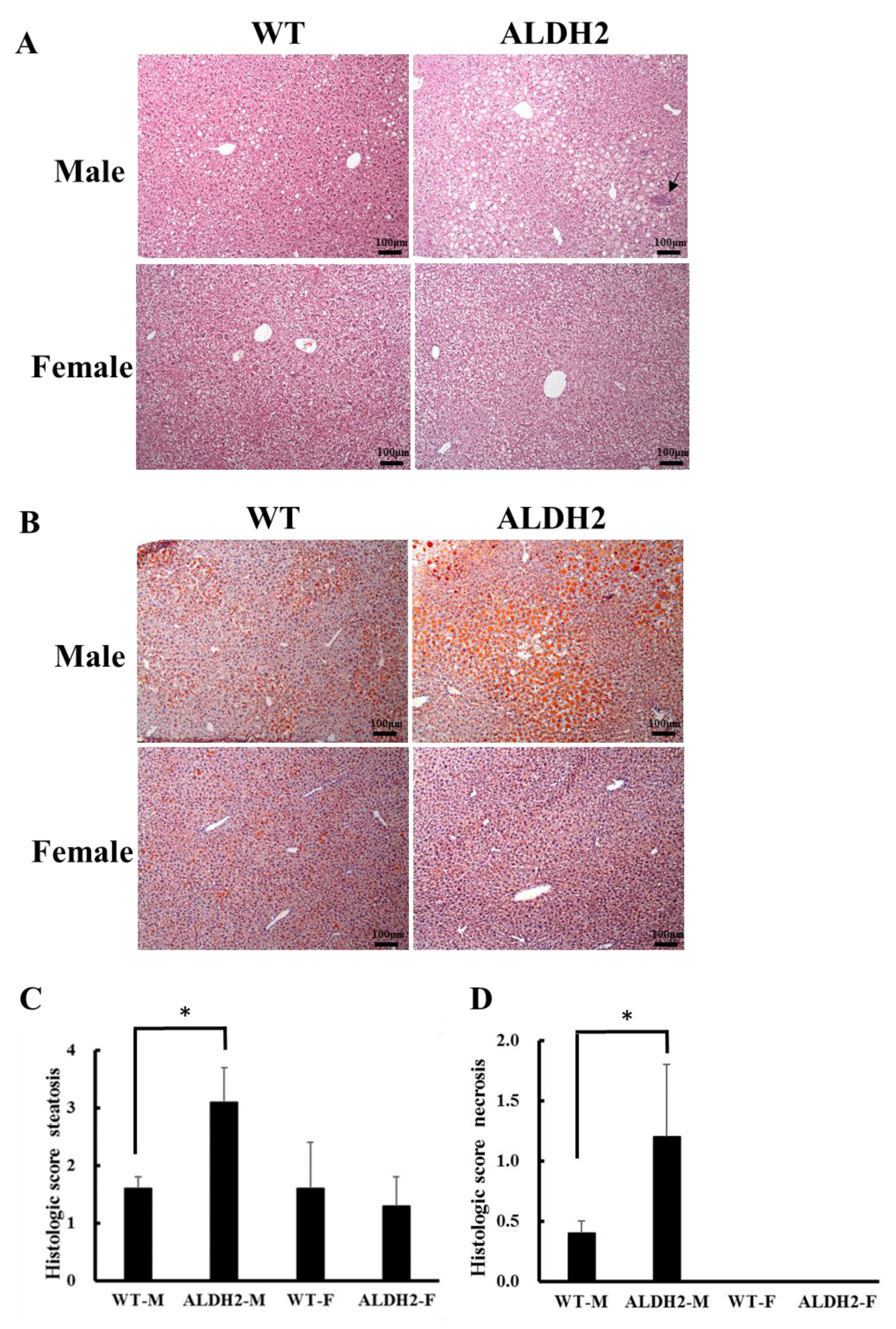 Biology 10 00737 g001