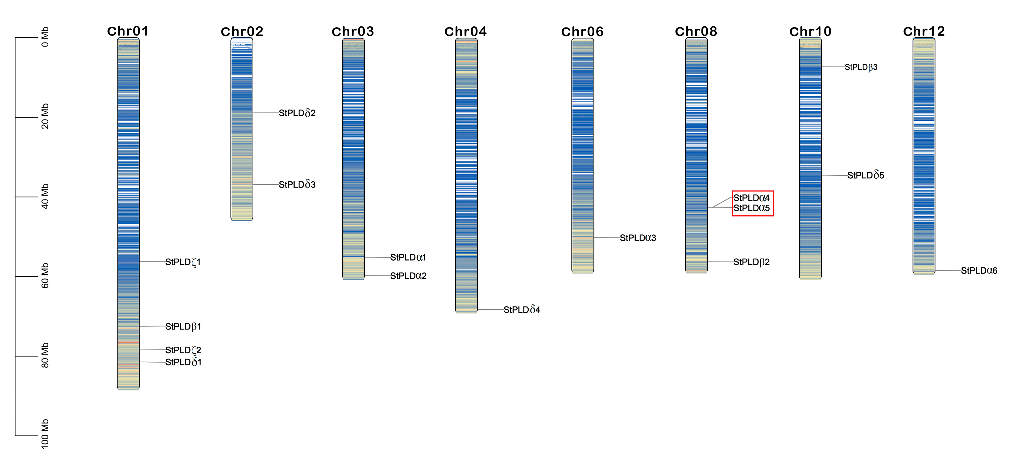 Biology 10 00741 g003