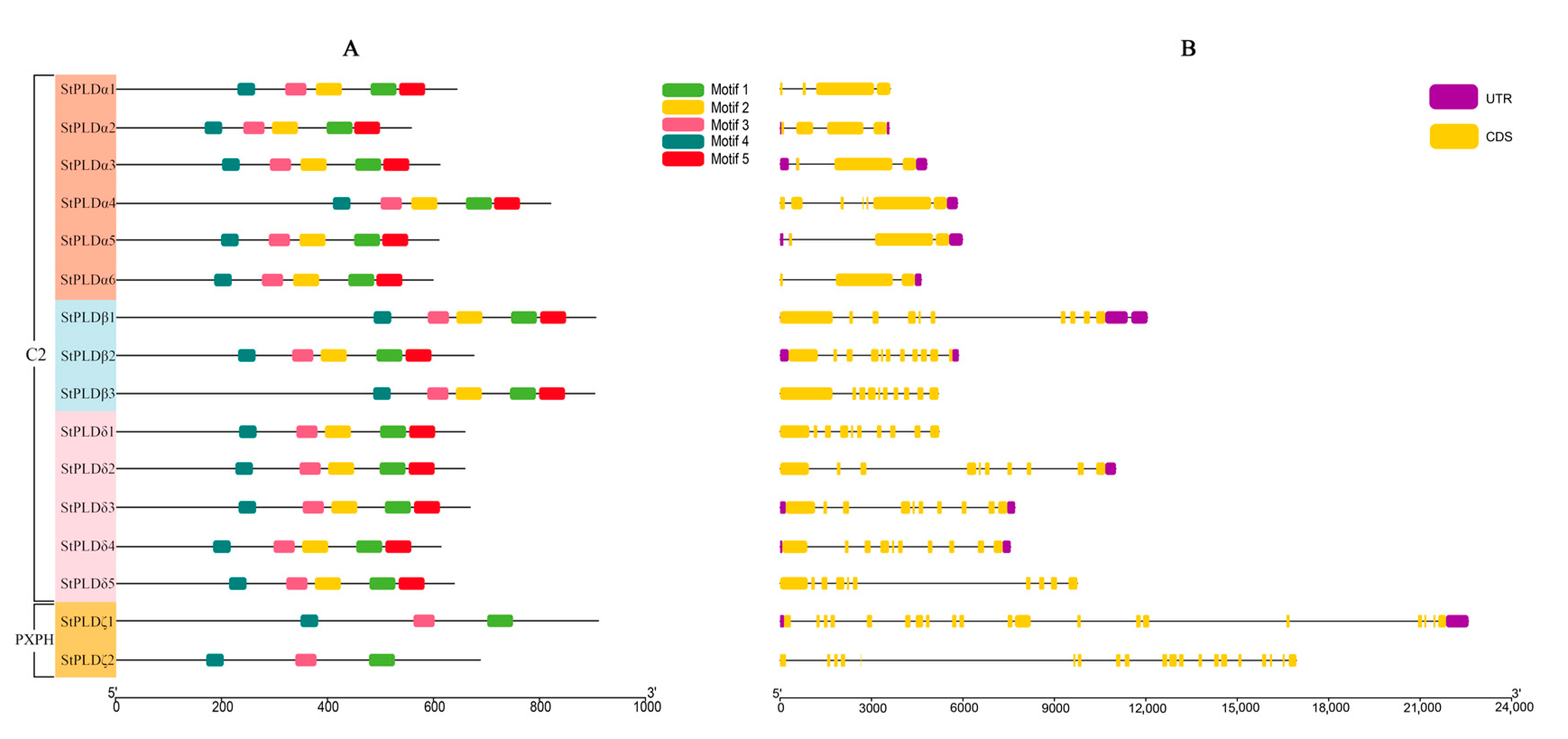 Biology 10 00741 g004