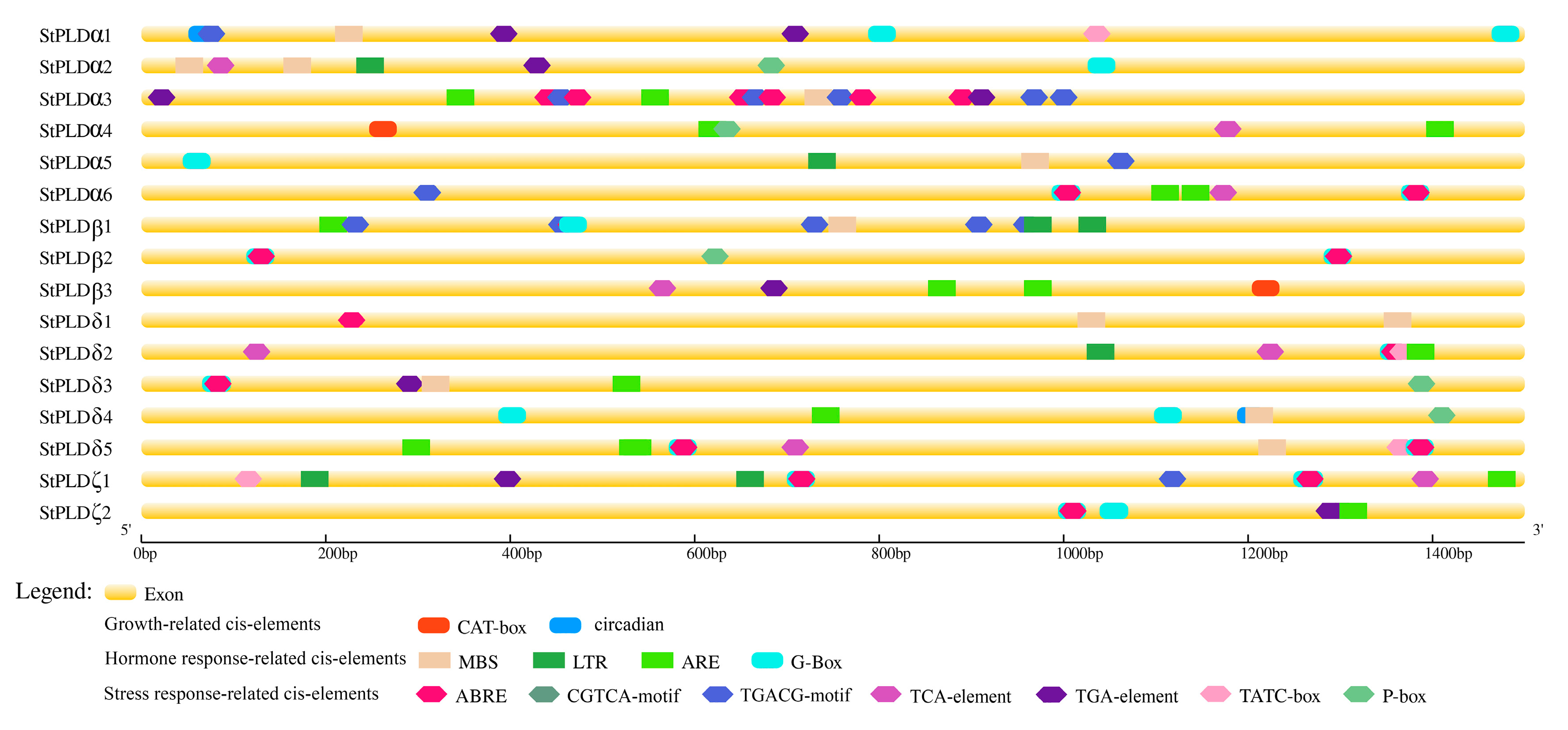 Biology 10 00741 g005