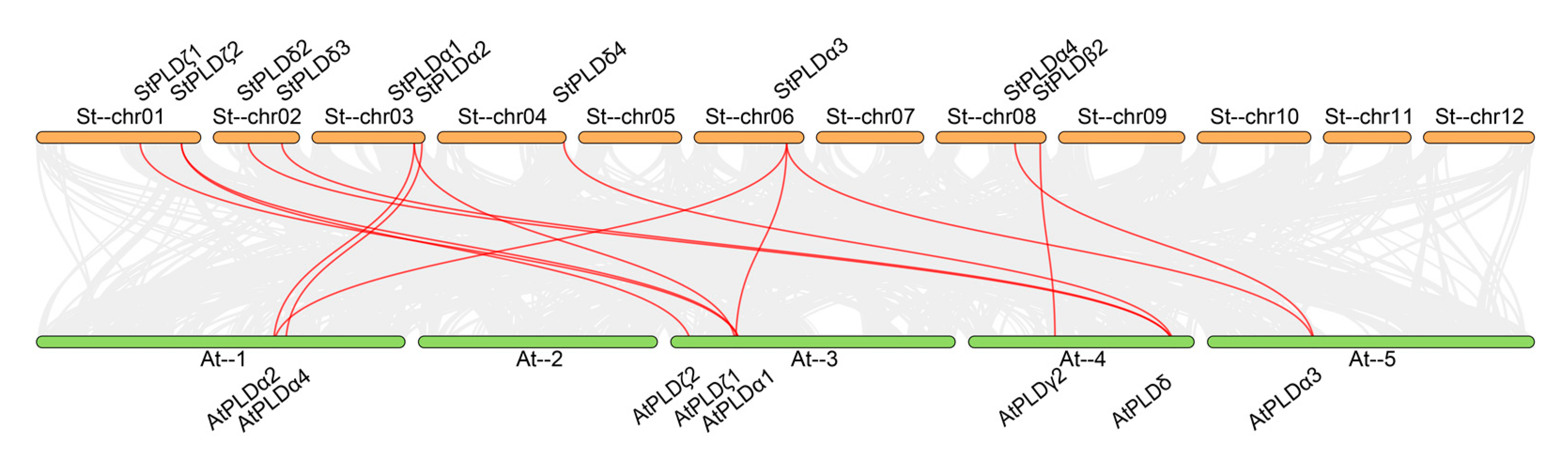 Biology 10 00741 g007