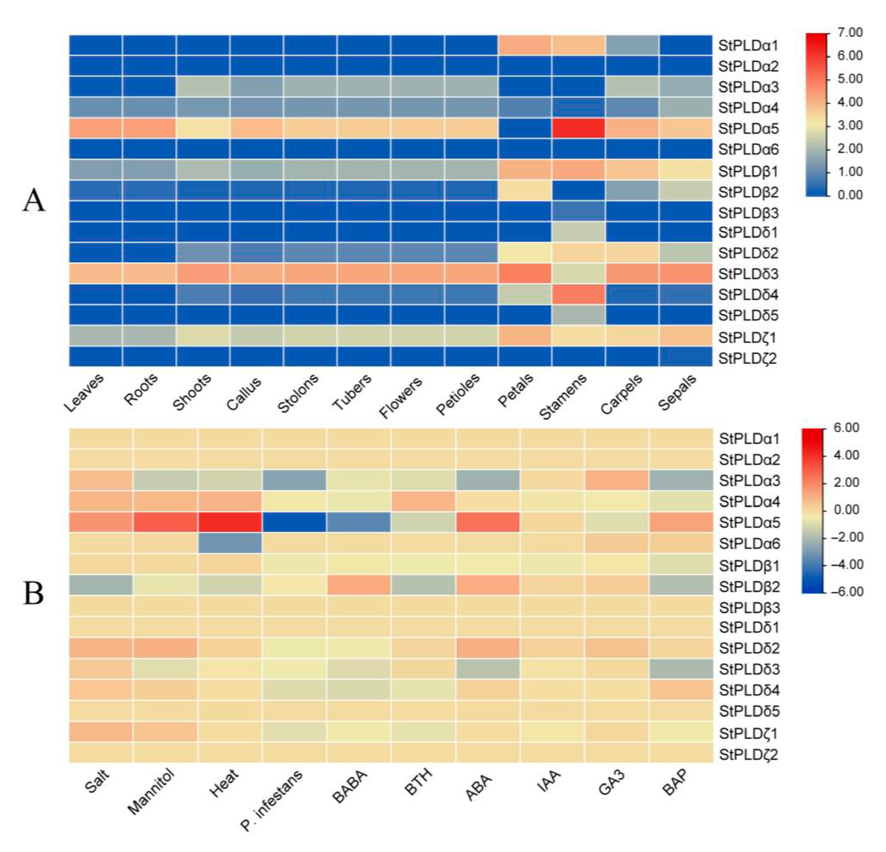 Biology 10 00741 g008