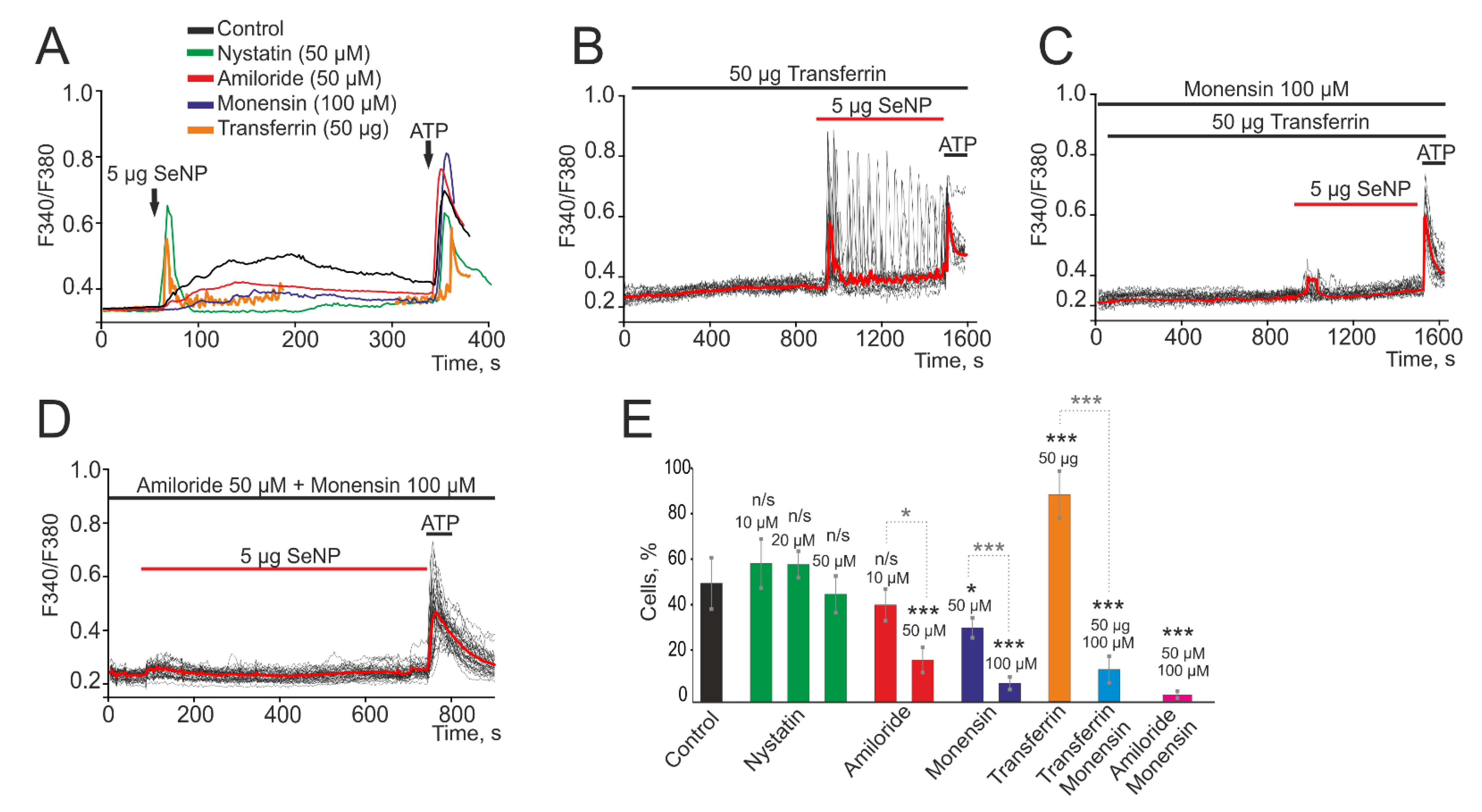 Biology 10 00743 g002