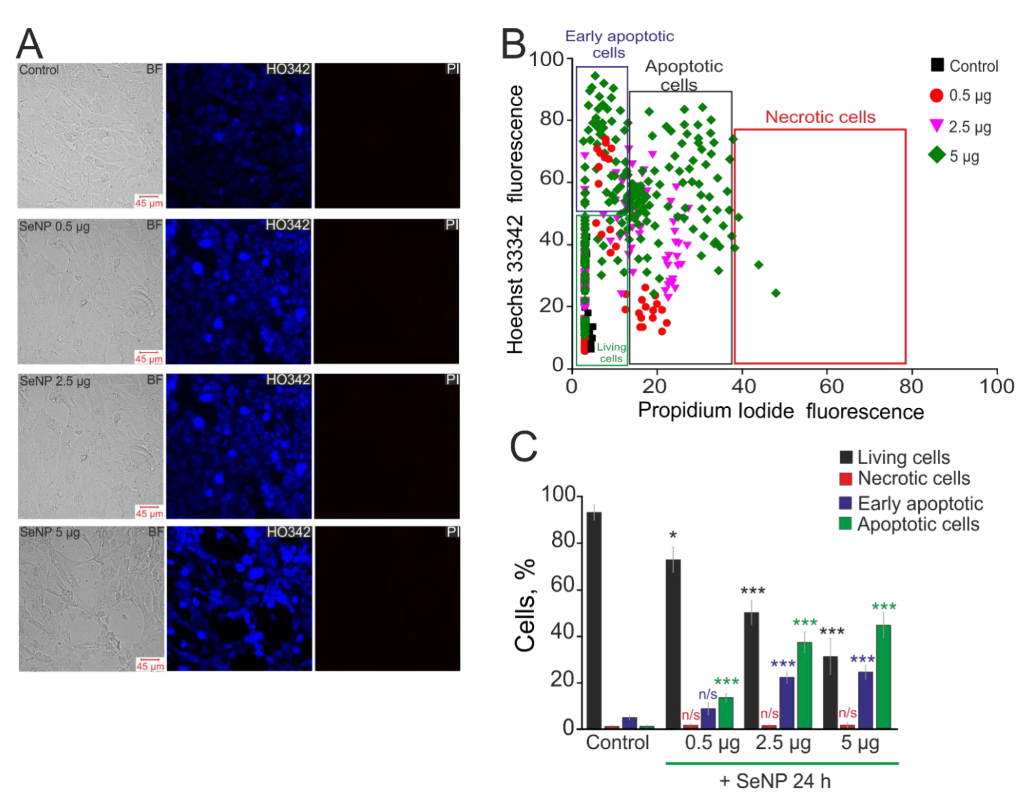 Biology 10 00743 g006
